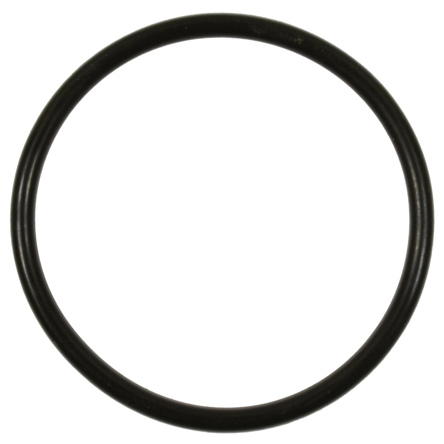 Fuel Pump O-Ring