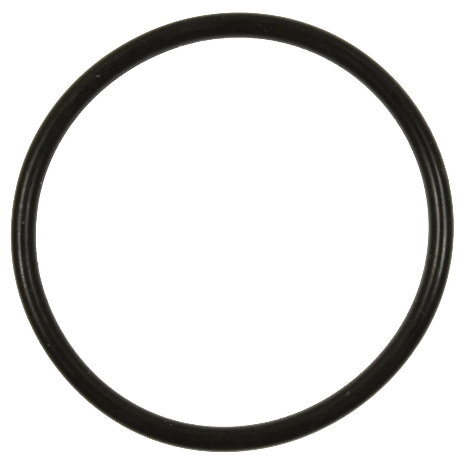 Fuel Pump O-Ring