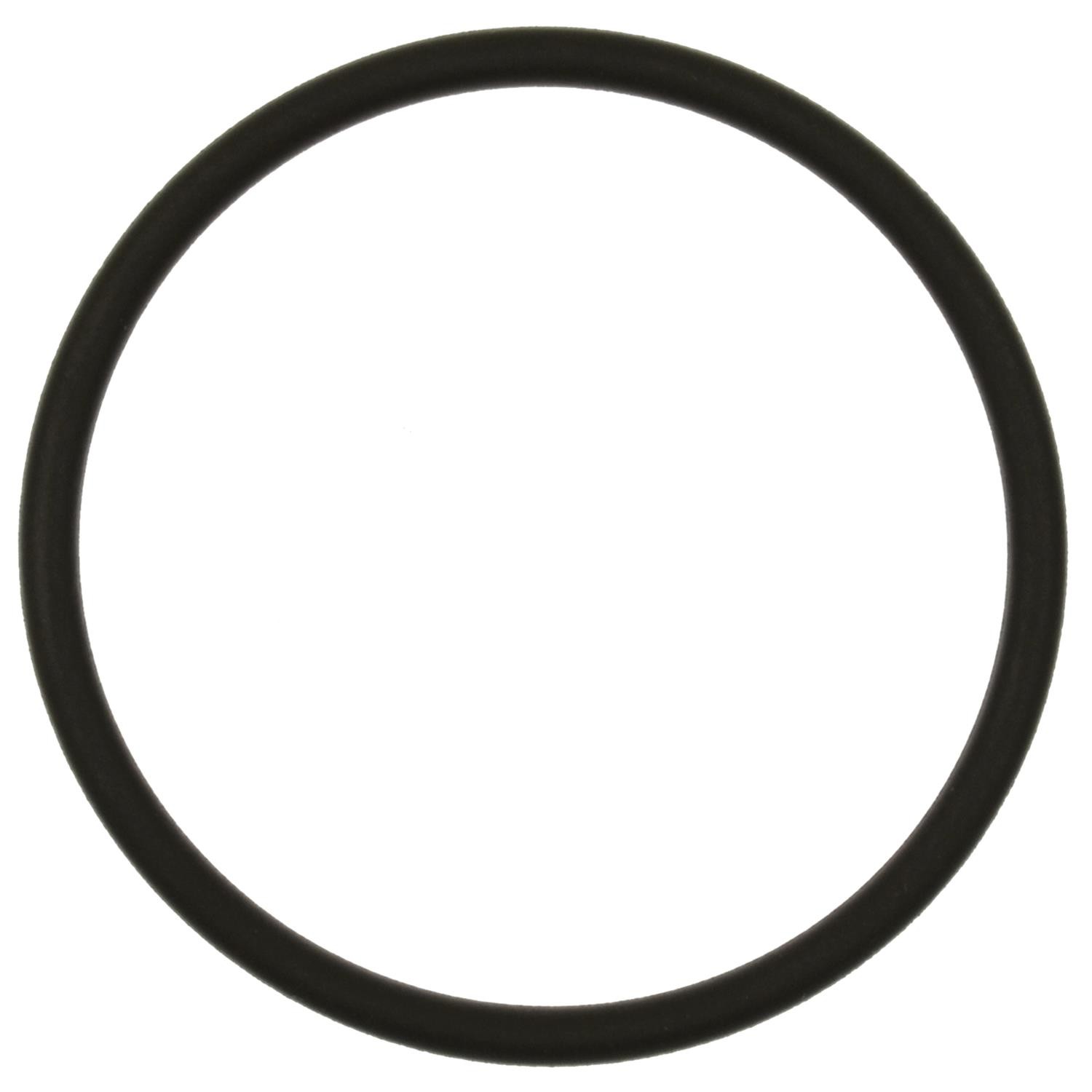 Fuel Pump O-Ring