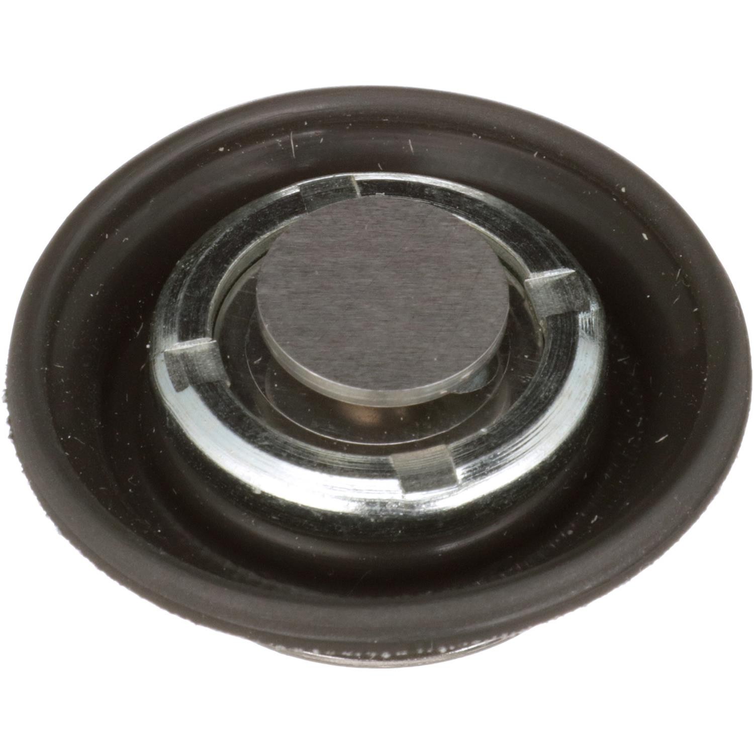 Fuel Pressure Regulator