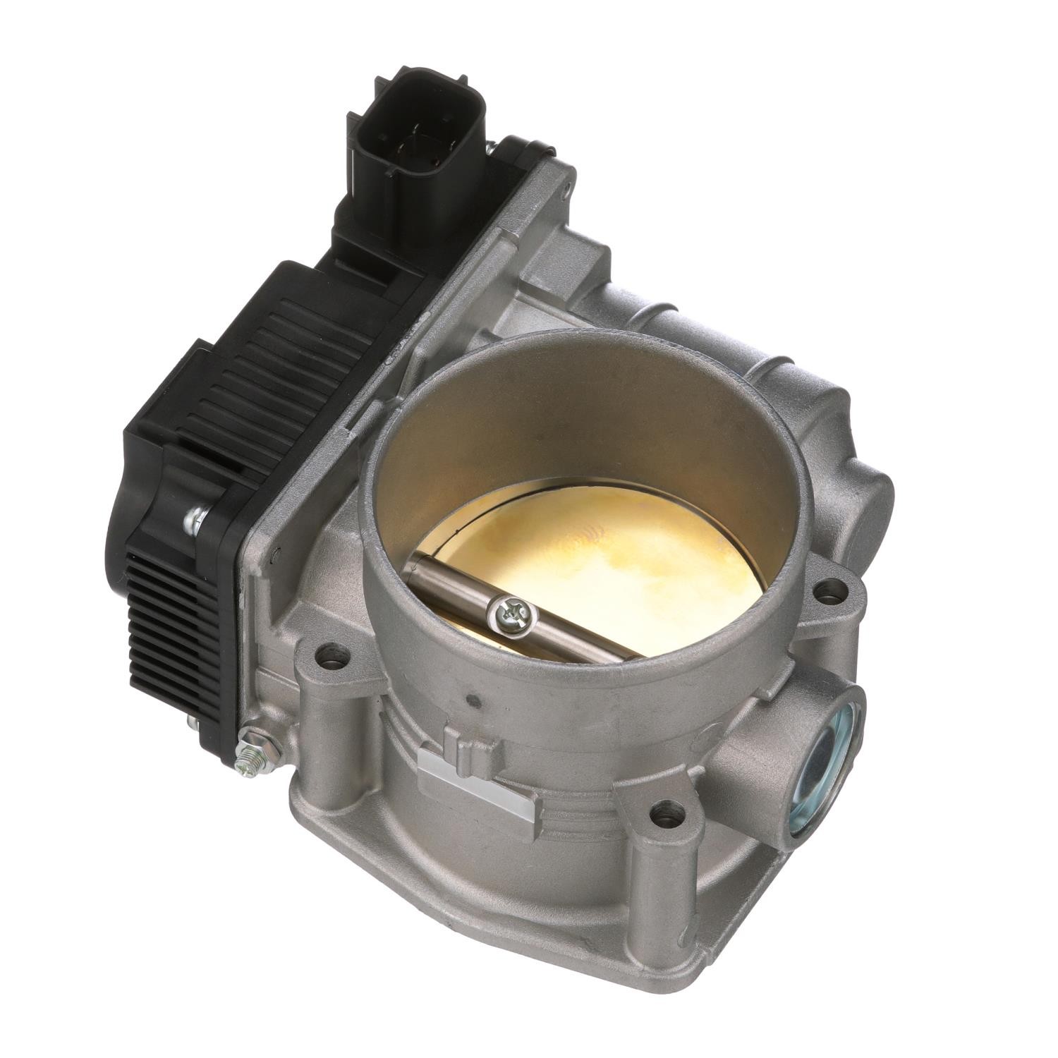 Fuel Injection Throttle Body