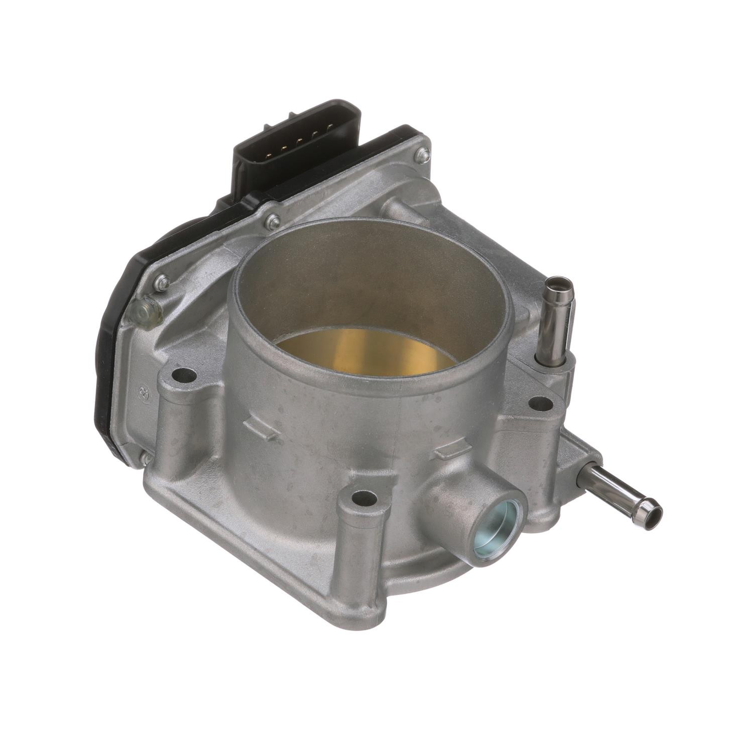 Fuel Injection Throttle Body