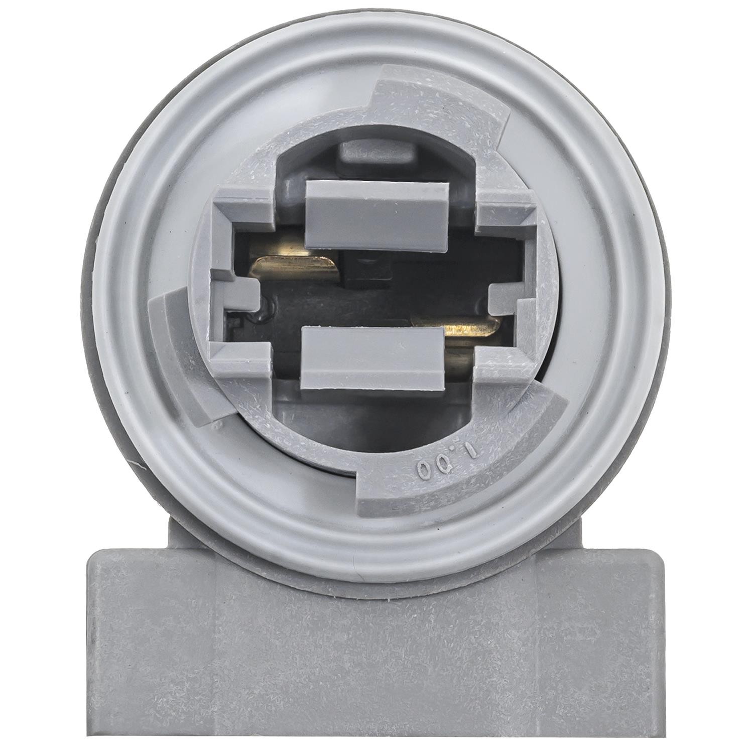 PARK & TURN SIGNAL SOCKET