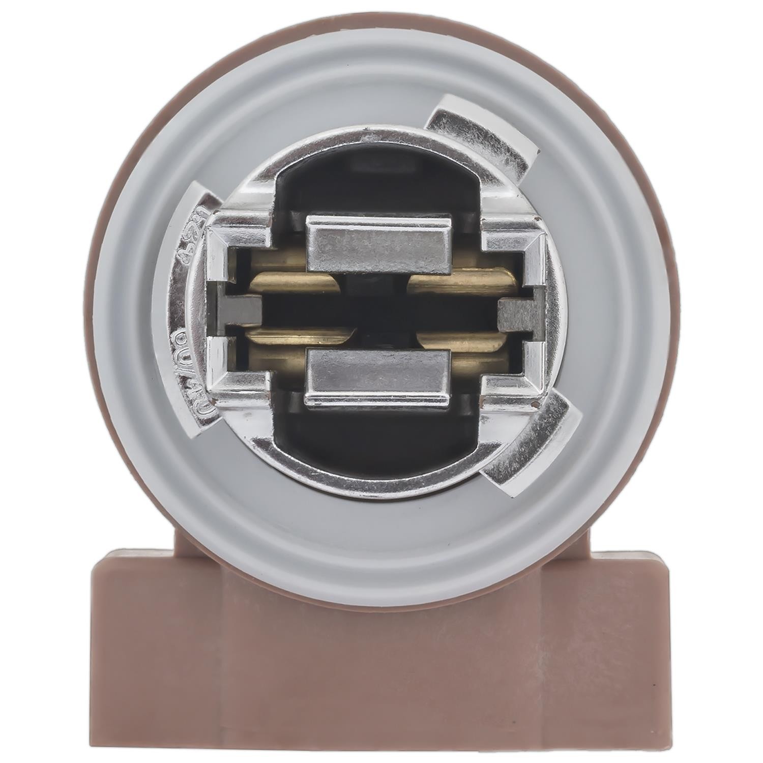 BACK-UP LIGHT SOCKET