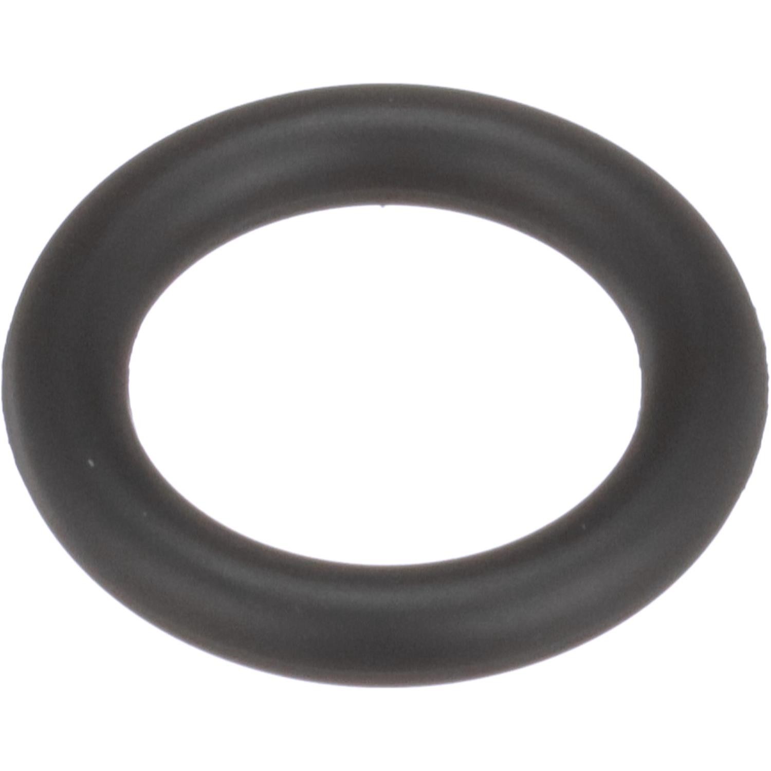 Fuel Injector O-Ring