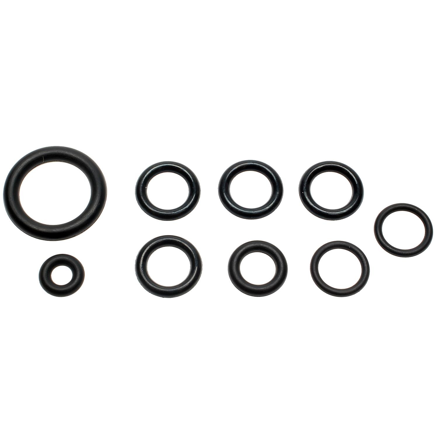 Fuel Rail O-Ring Kit