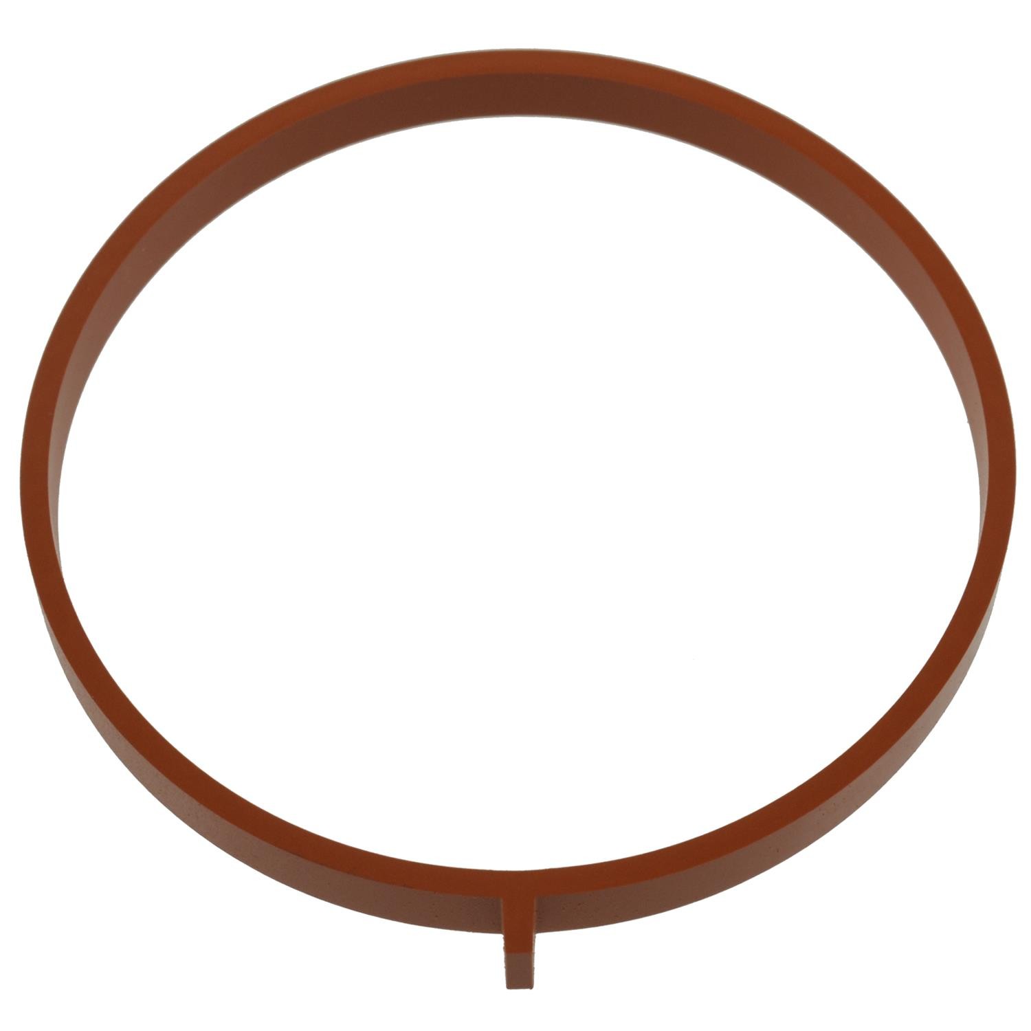 Electronic Throttle Body (ETB) Gasket