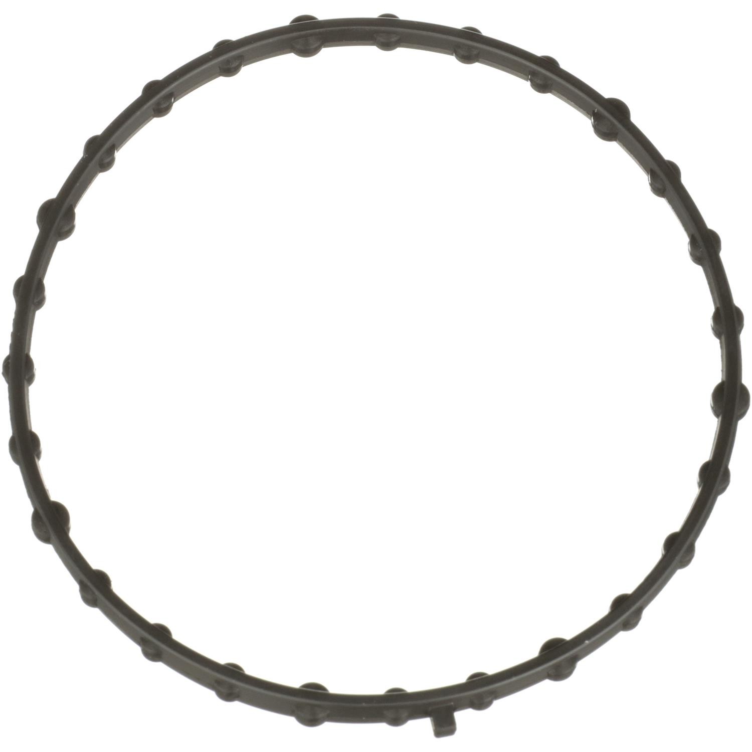 Electronic Throttle Body (ETB) Gasket