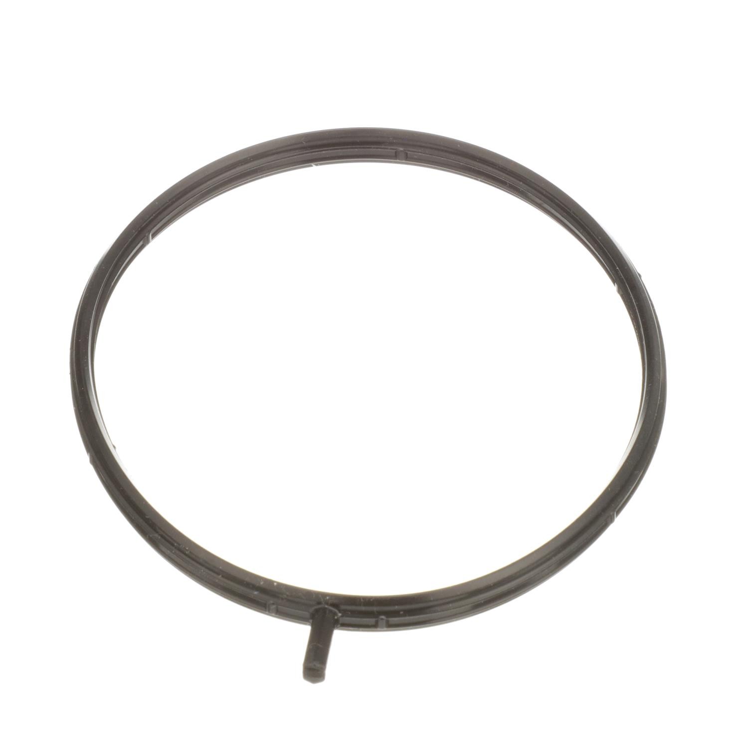 Electronic Throttle Body (ETB) Gasket