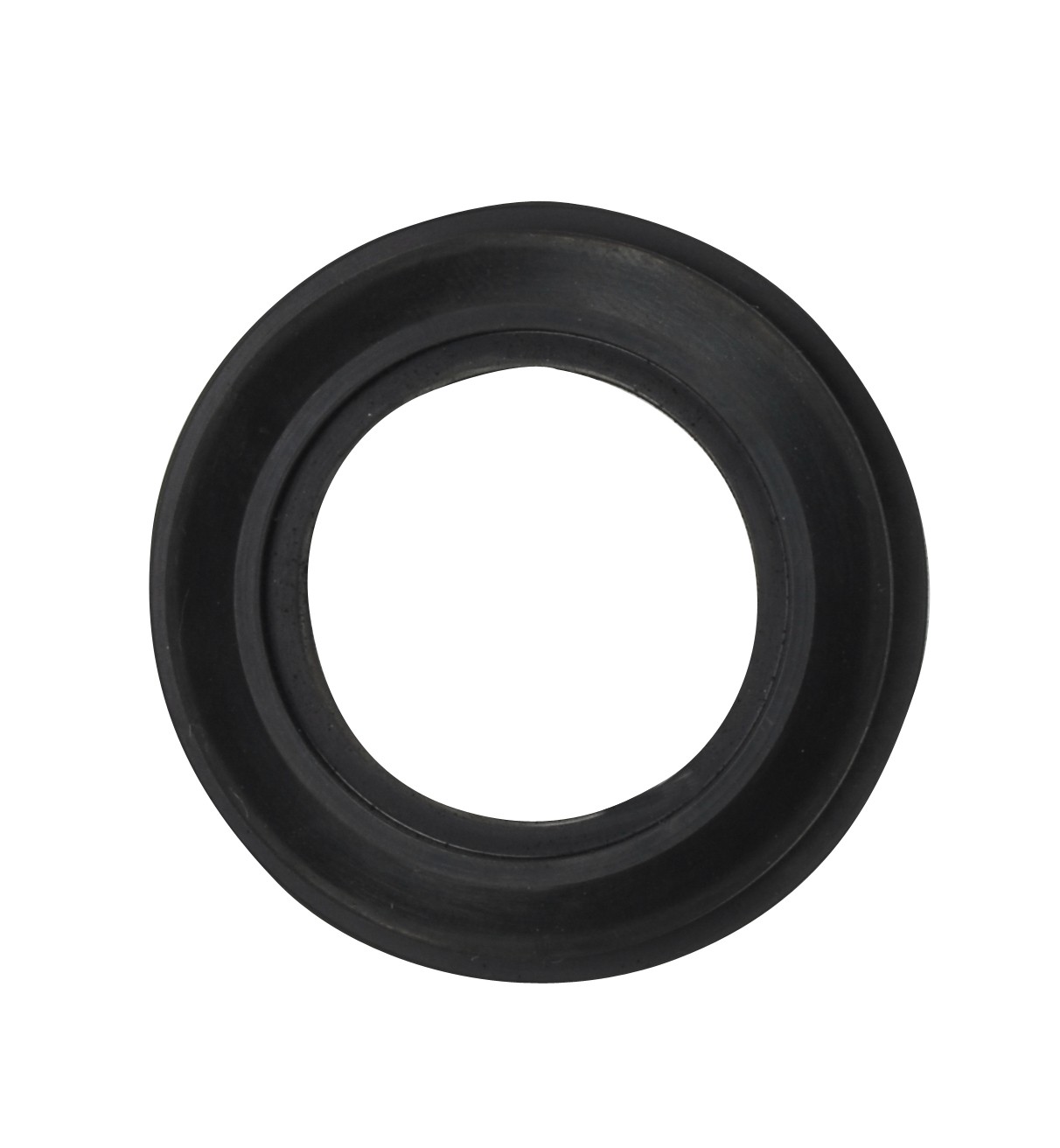 Fuel Pump Tank Seal