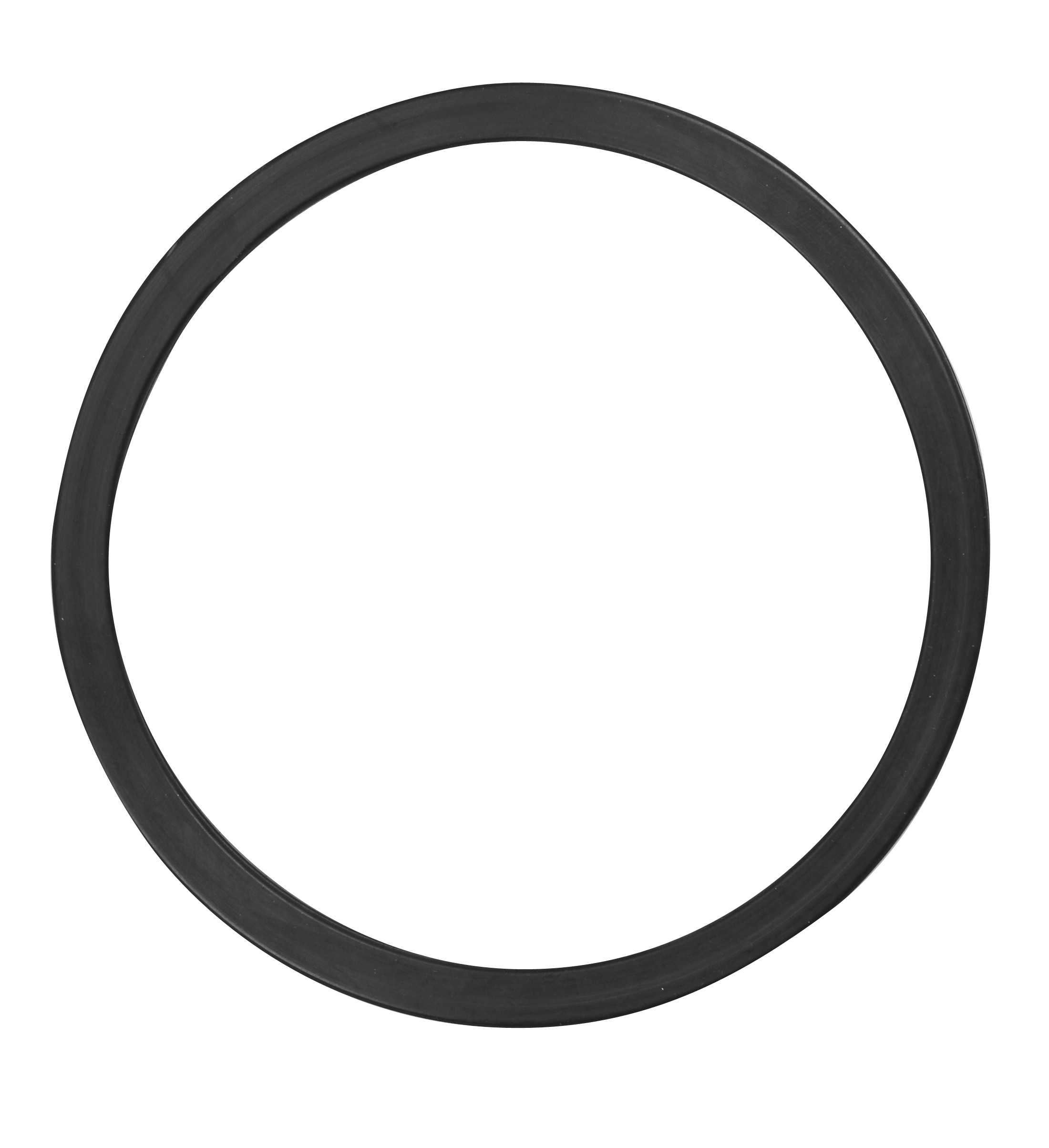 Fuel Pump Tank Seal