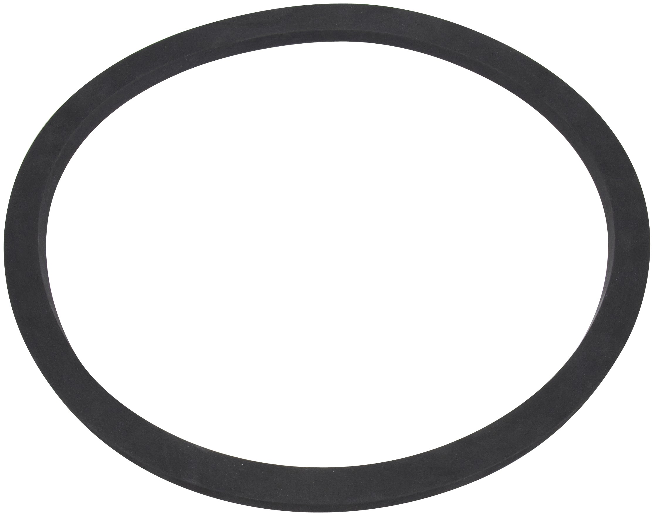 Fuel Pump Tank Seal