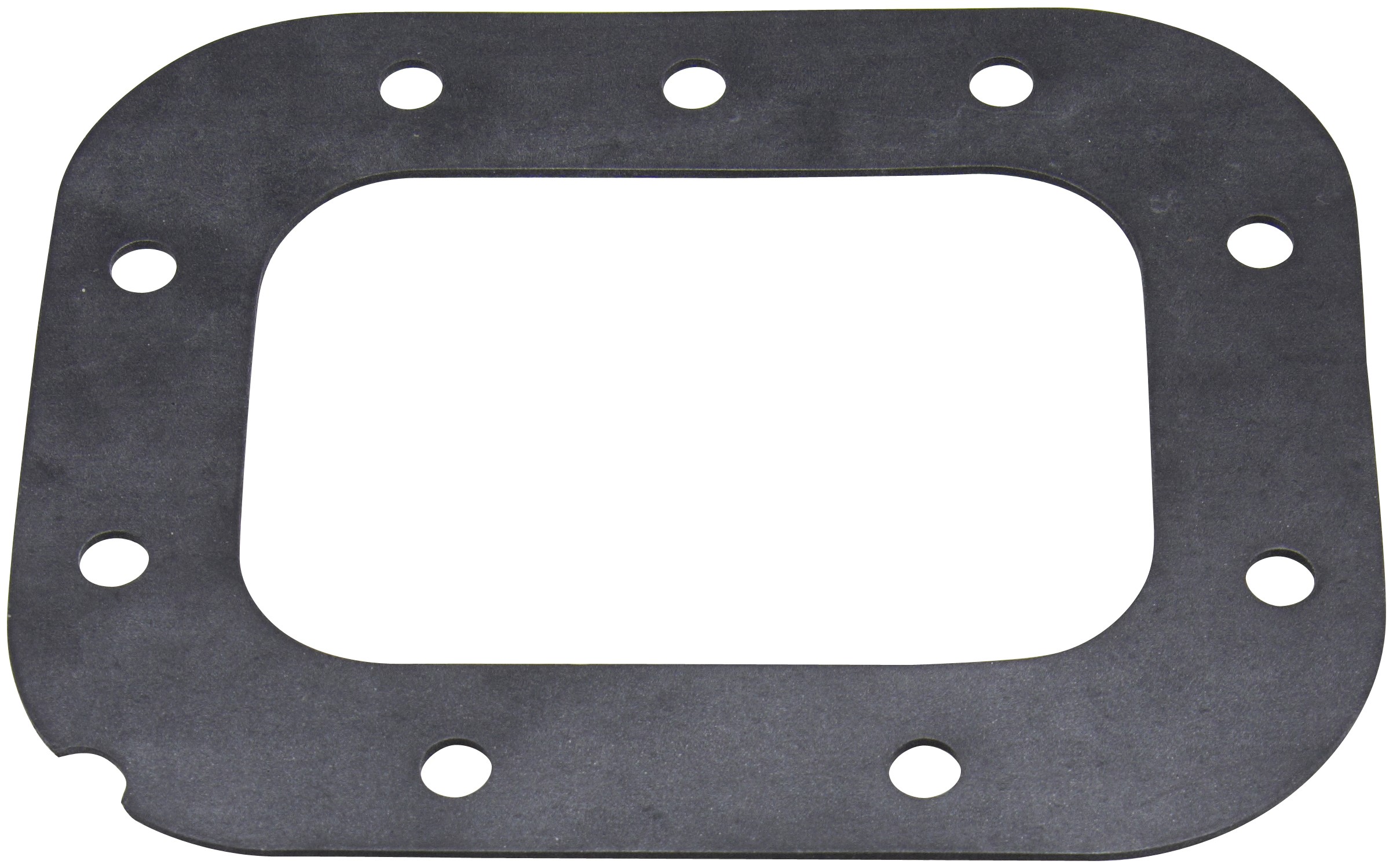 Fuel Pump Tank Seal