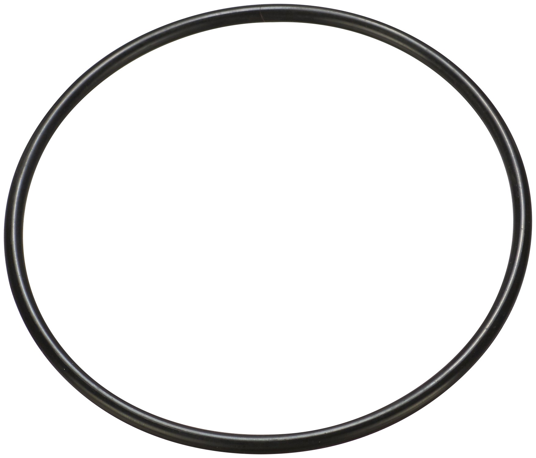 Fuel Pump Tank Seal