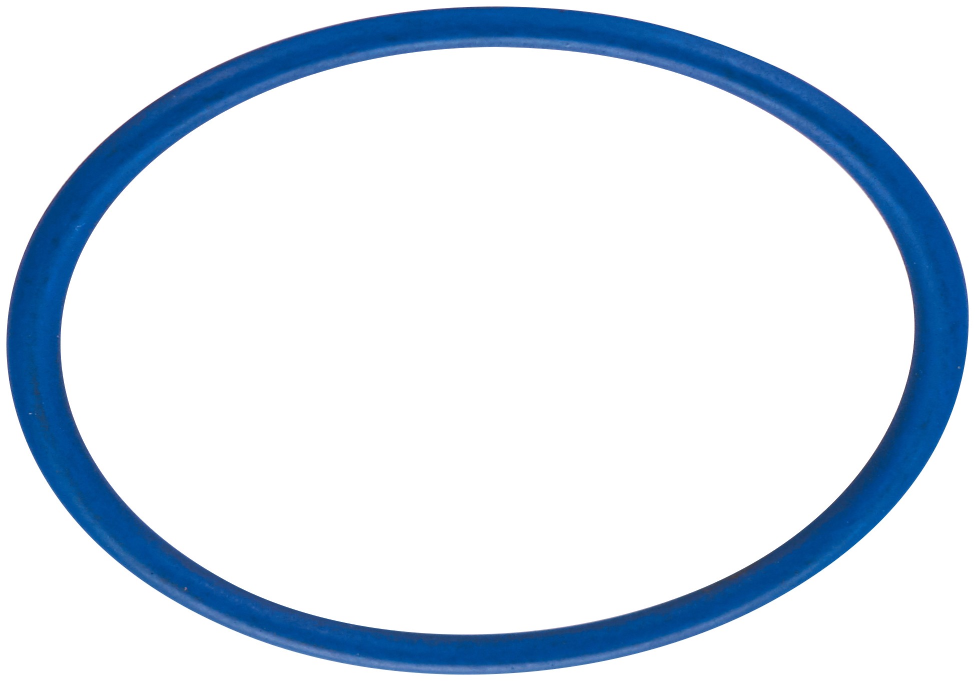 Direct Injection High Pressure Fuel Pump O-Ring