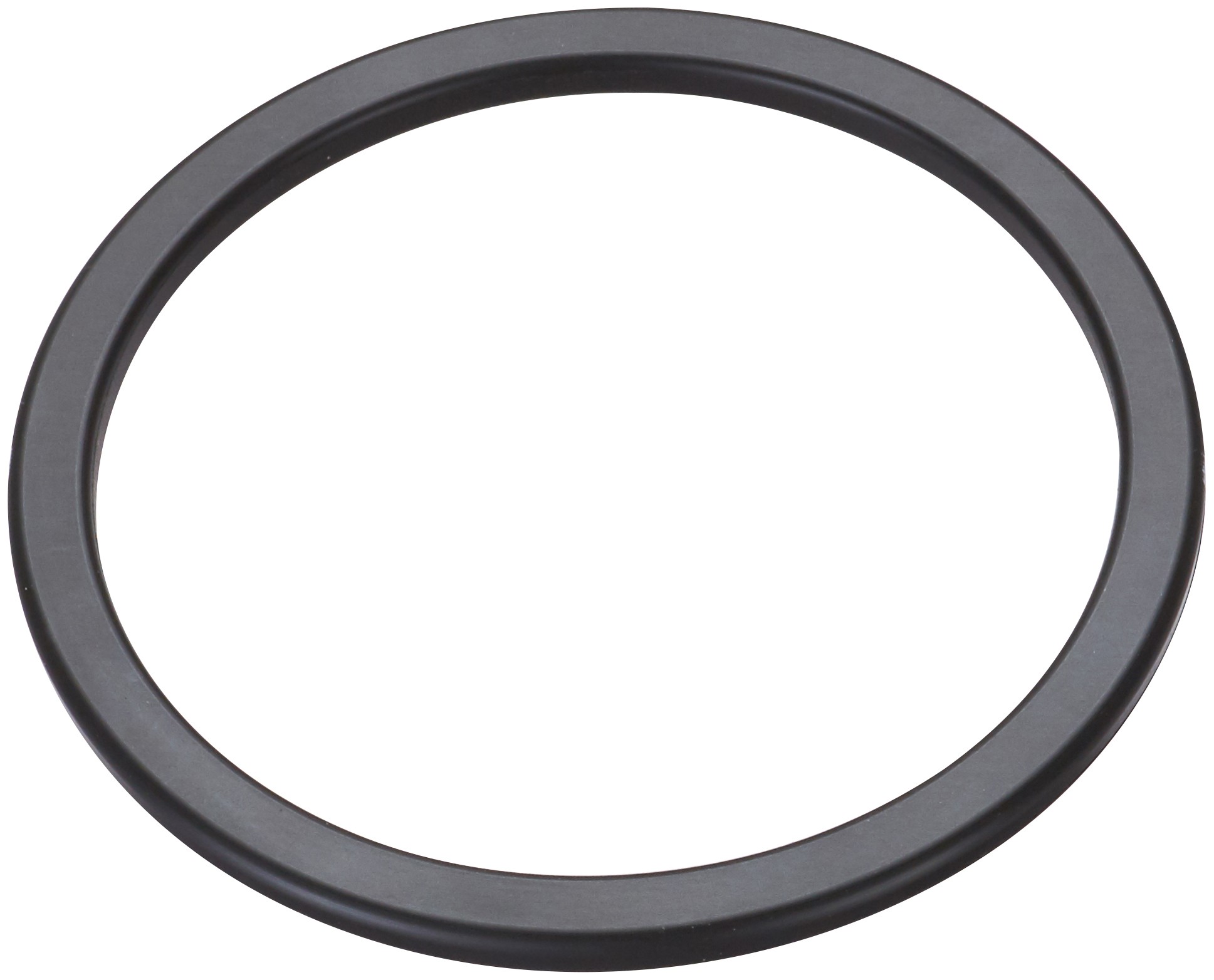 Fuel Pump Tank Seal