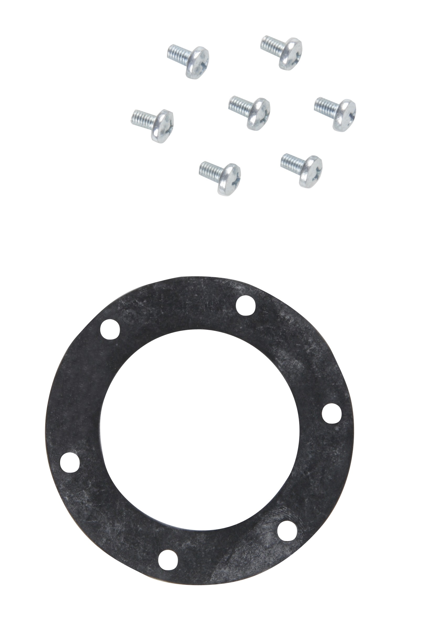 Fuel Pump Tank Seal