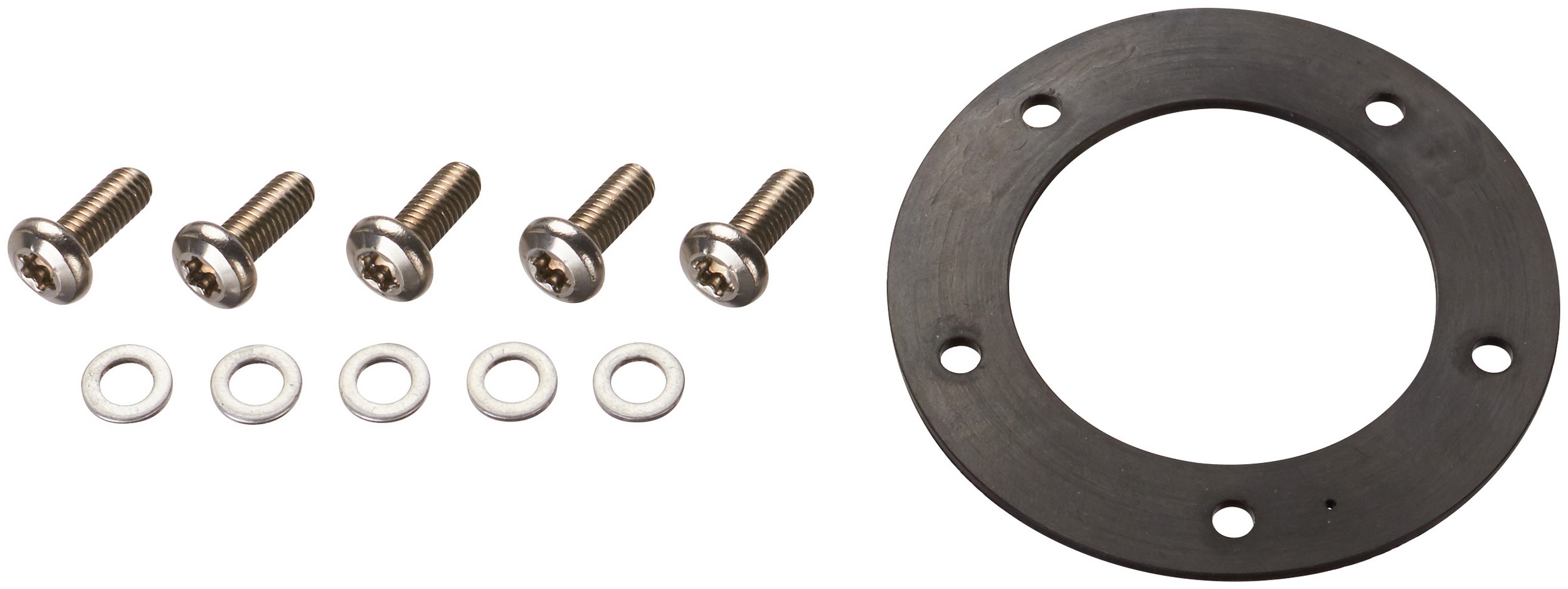 Fuel Pump Tank Seal