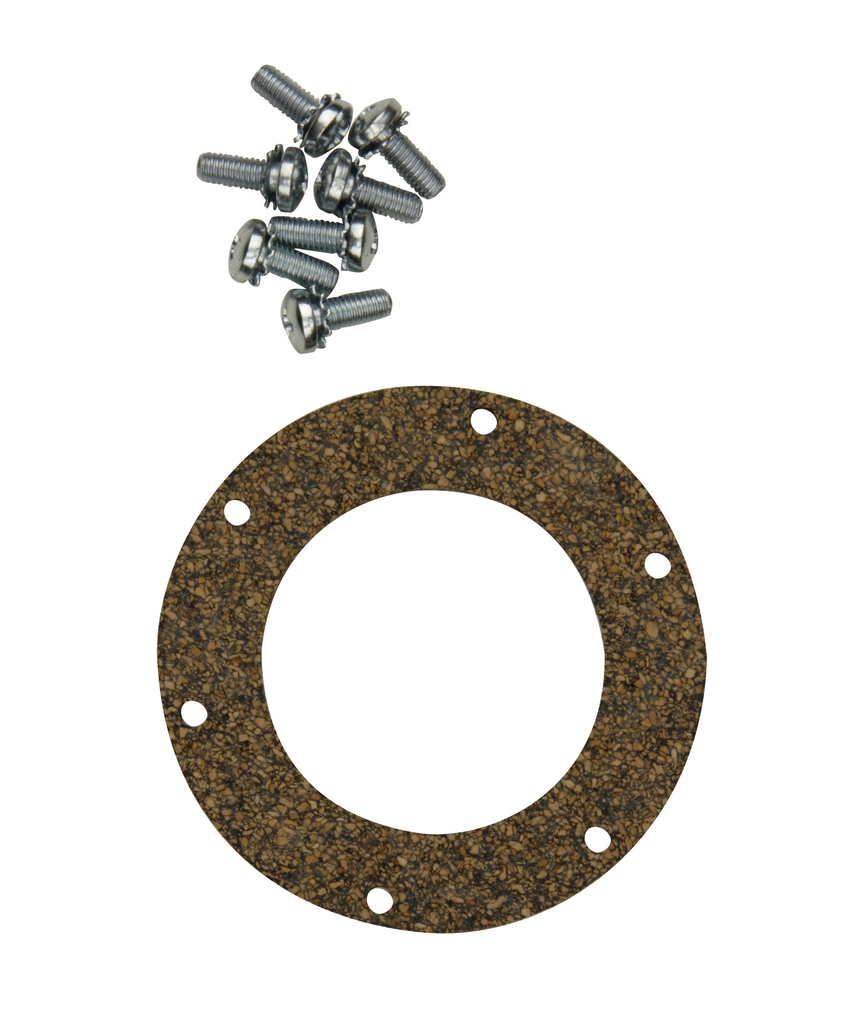 Fuel Pump Tank Seal