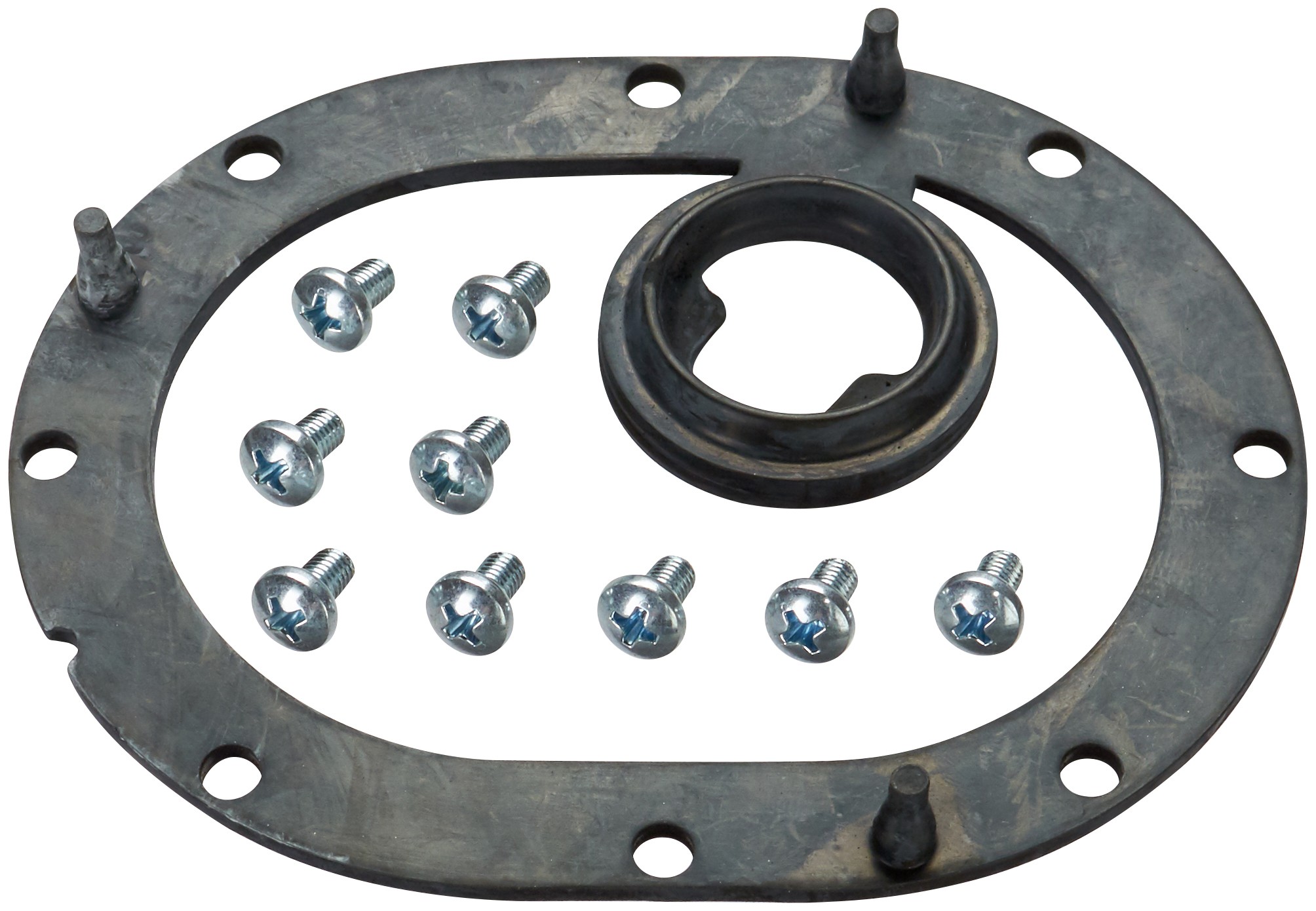 Fuel Pump Tank Seal