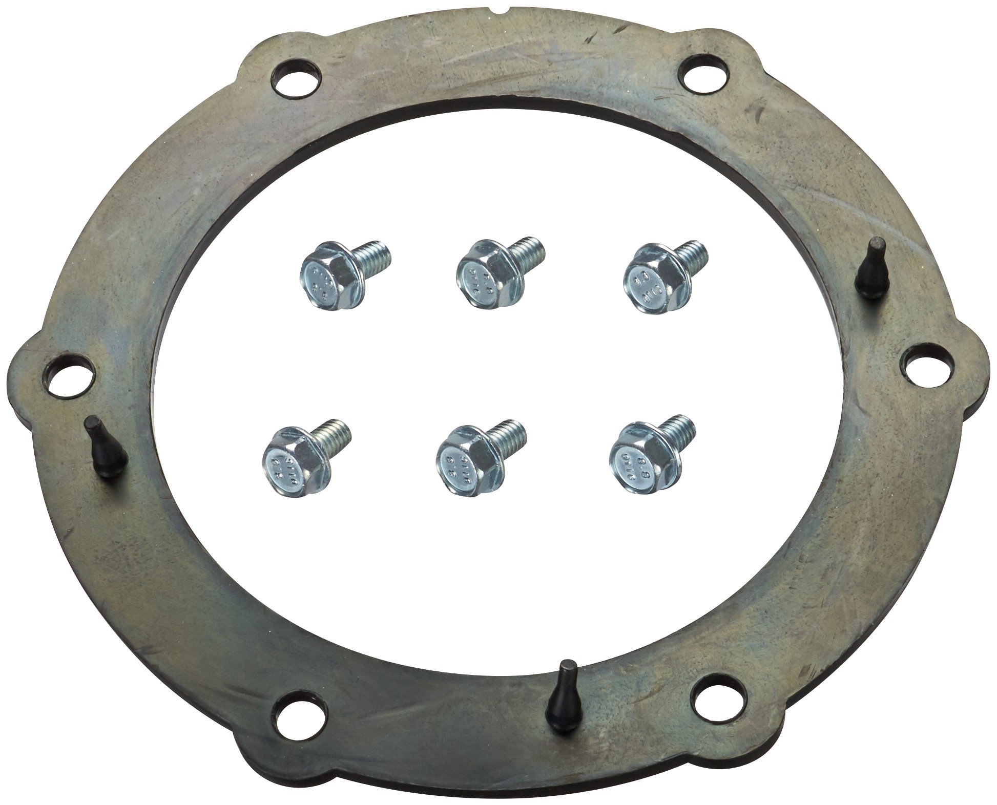 Fuel Pump Tank Seal