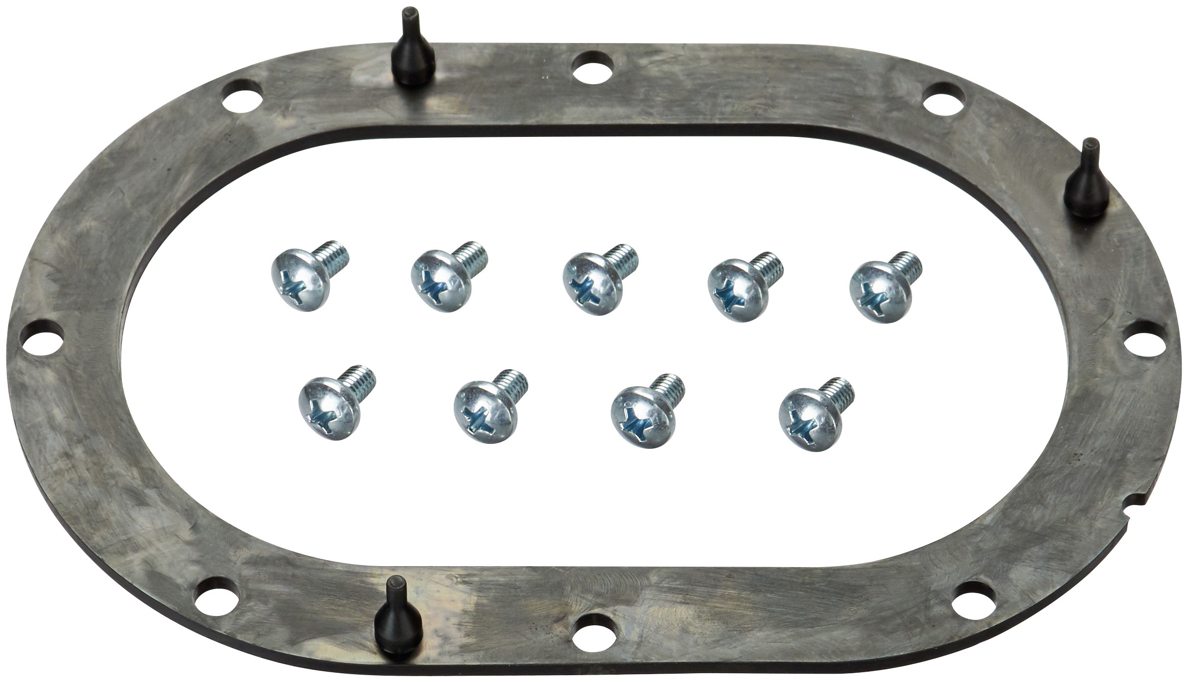 Fuel Pump Tank Seal