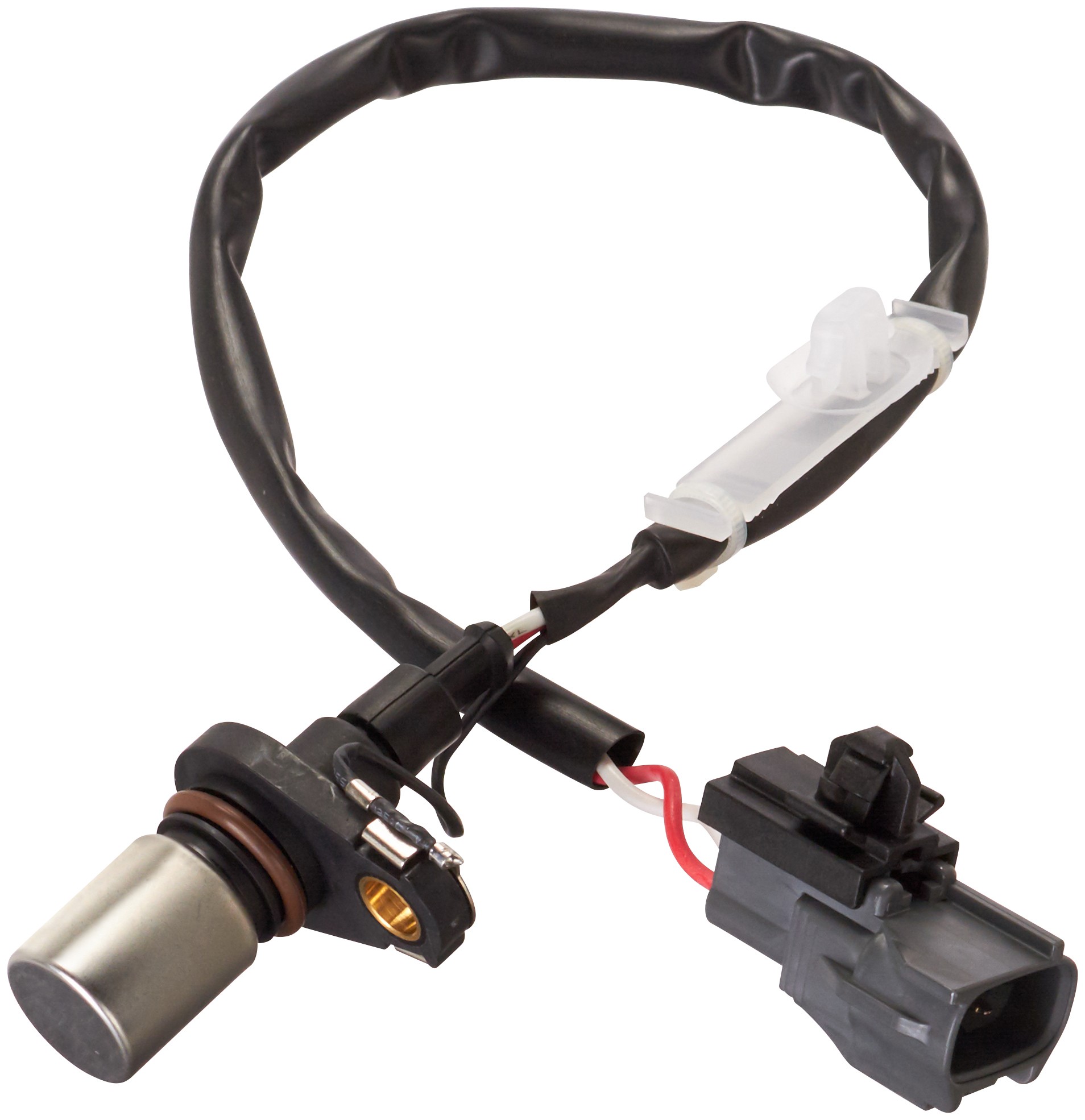 Engine Crankshaft Position Sensor