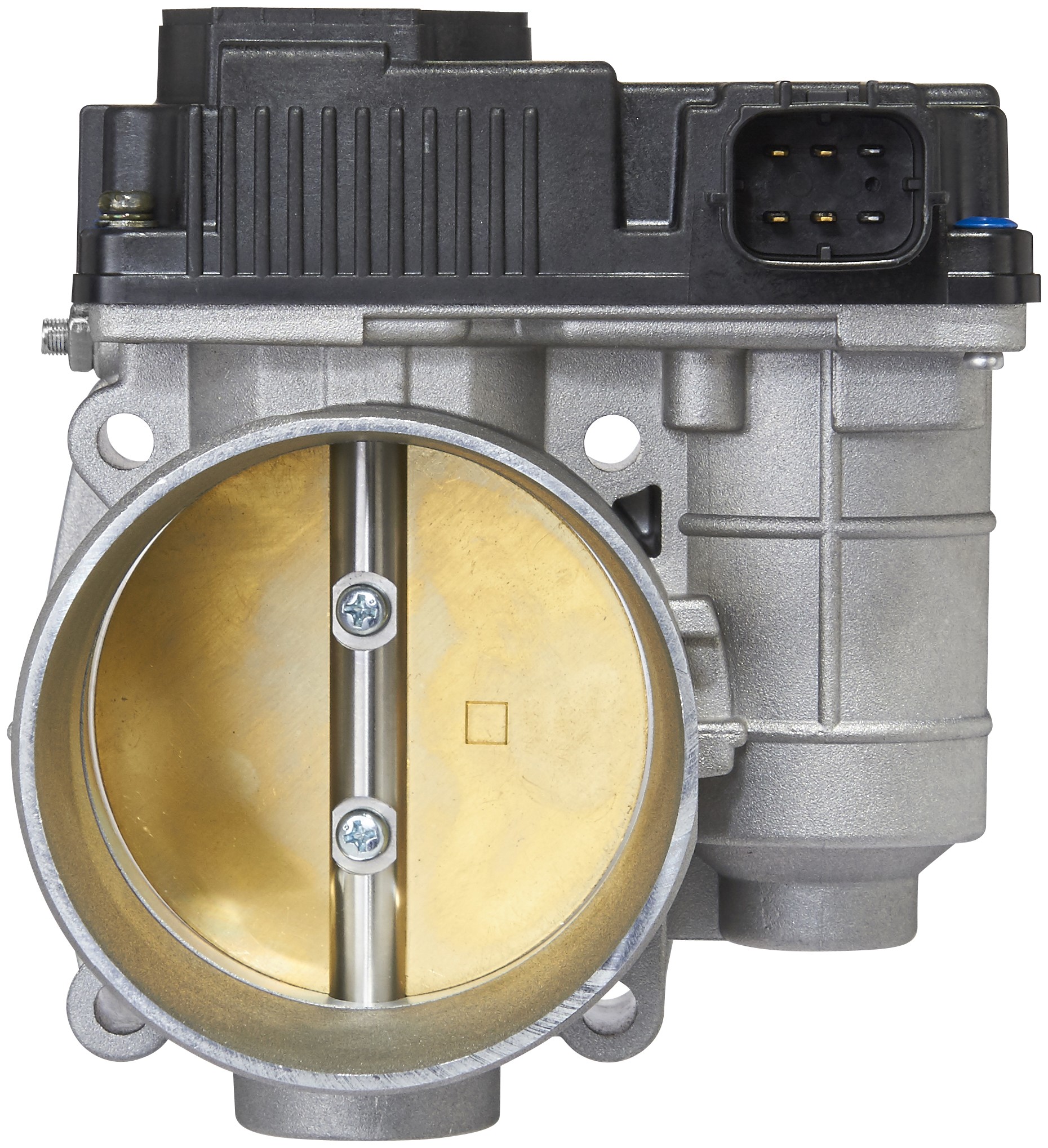 Fuel Injection Throttle Body Assembly