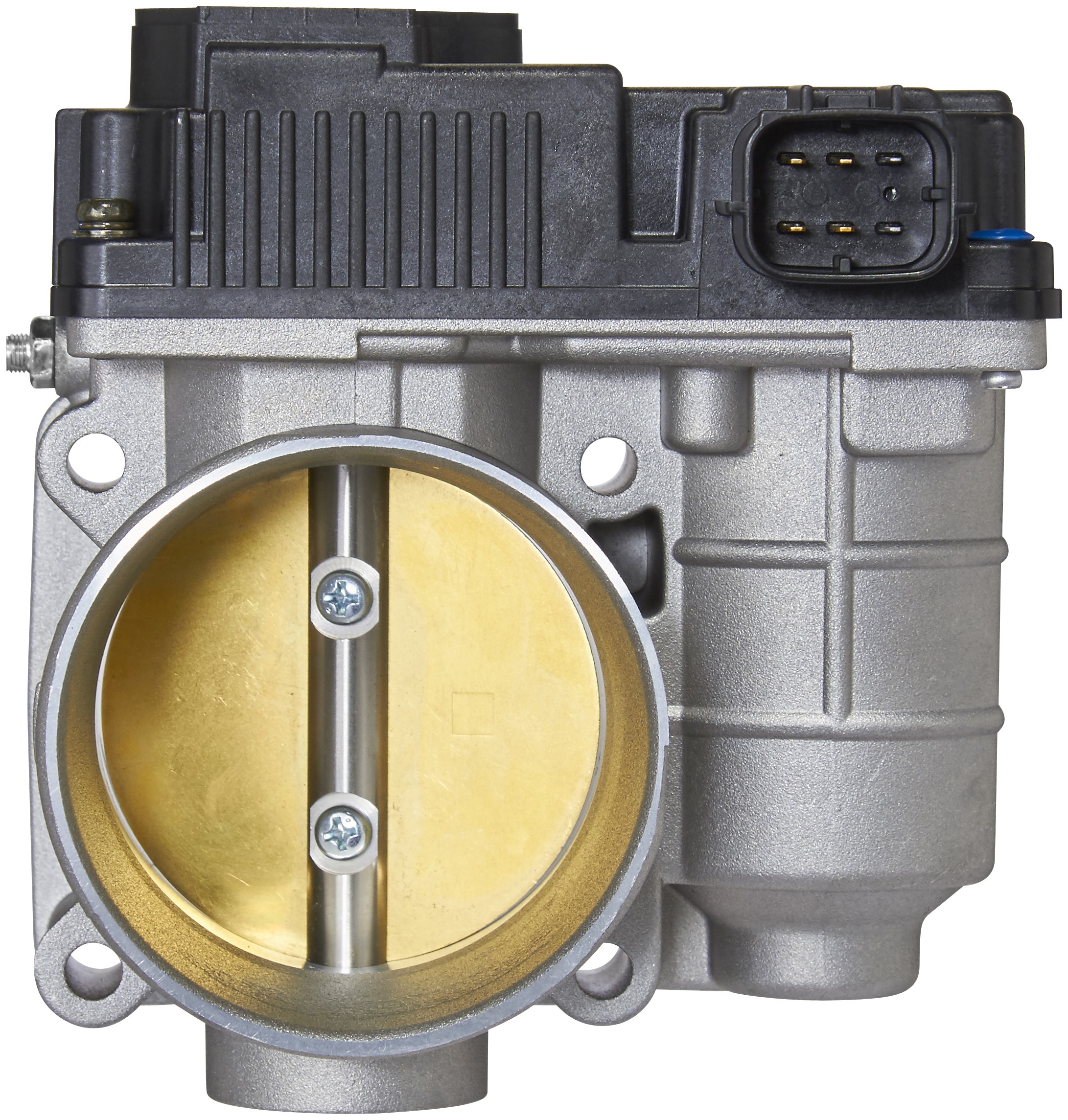 Fuel Injection Throttle Body Assembly