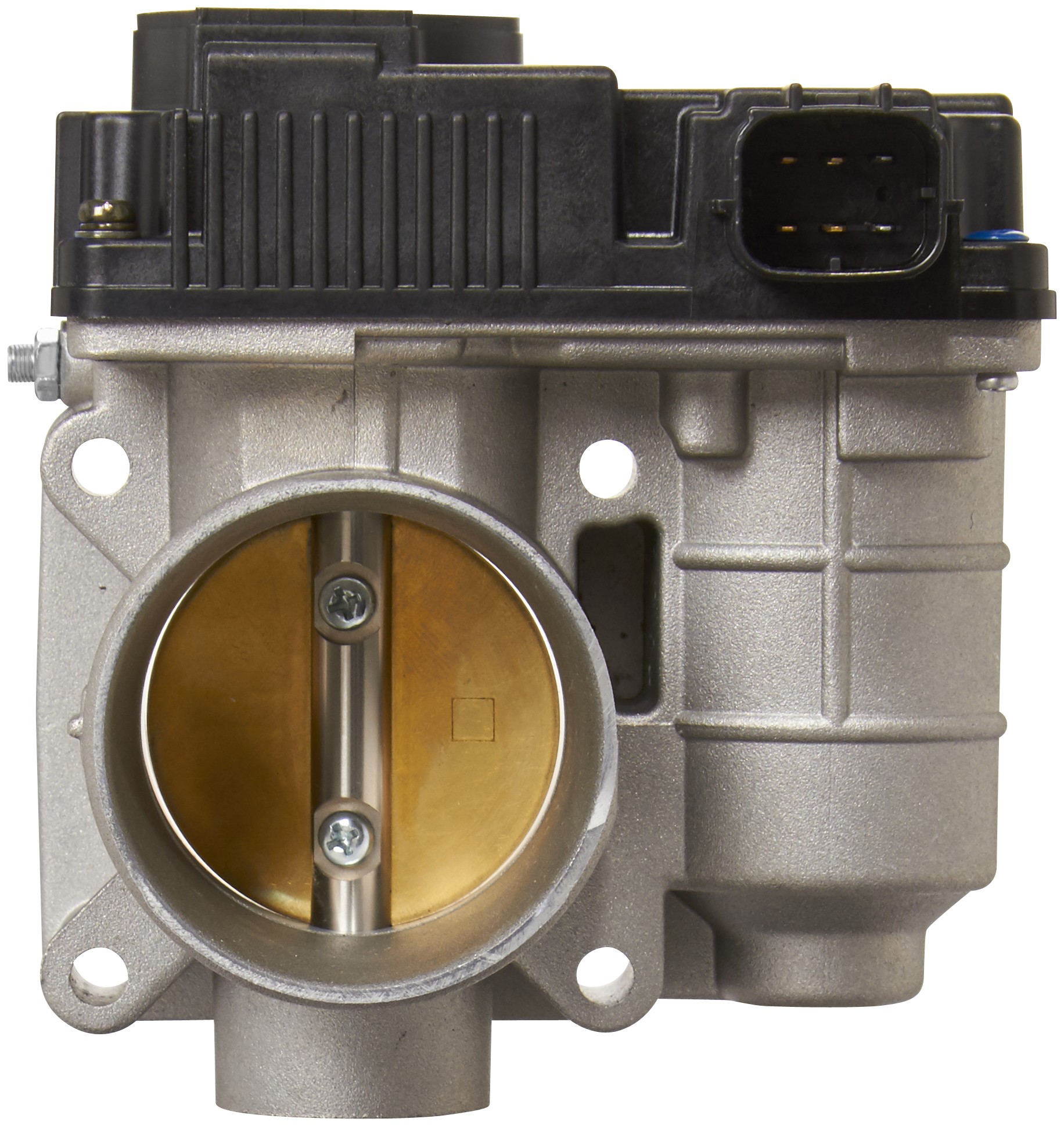 Fuel Injection Throttle Body Assembly