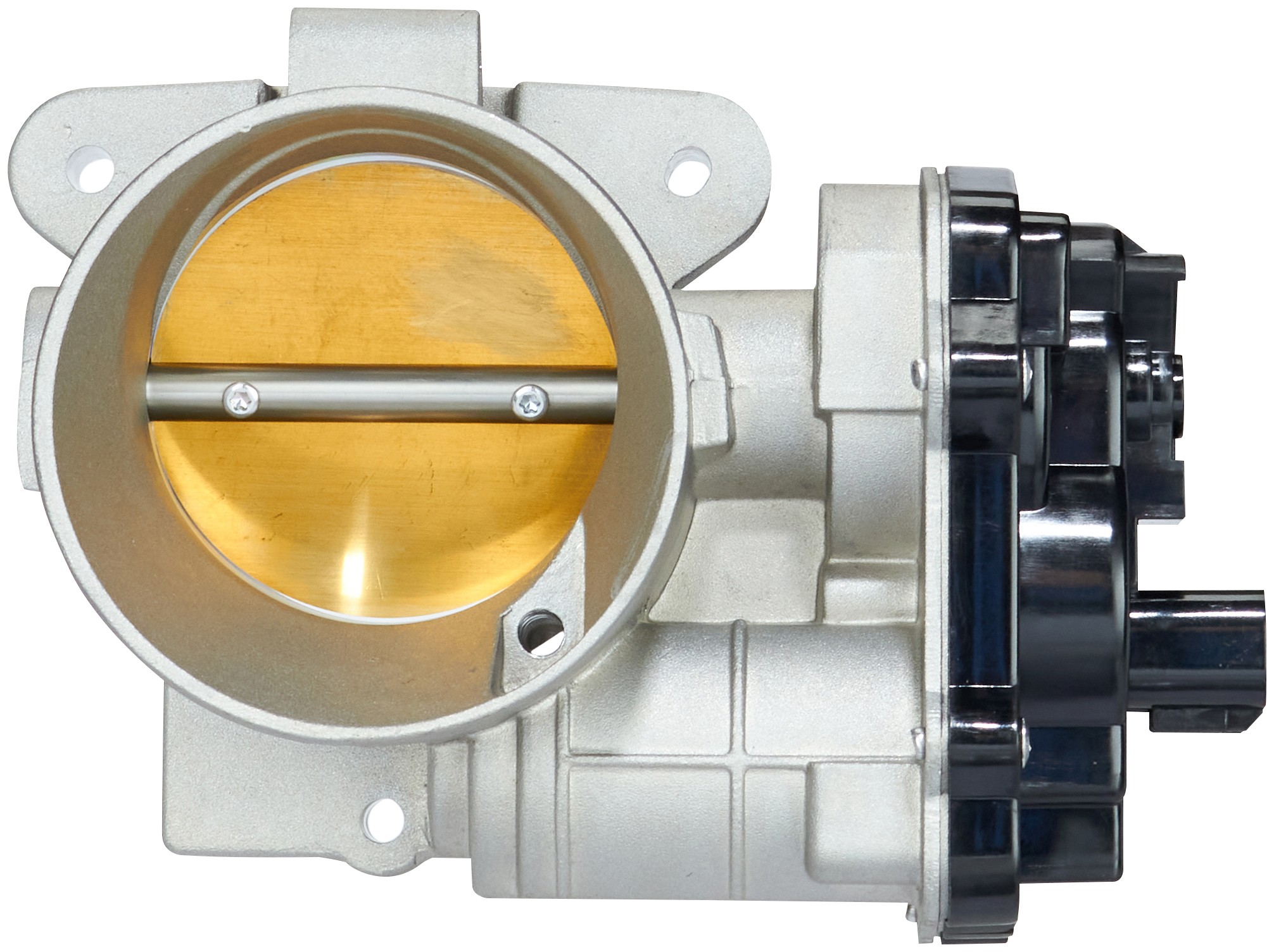 Fuel Injection Throttle Body Assembly