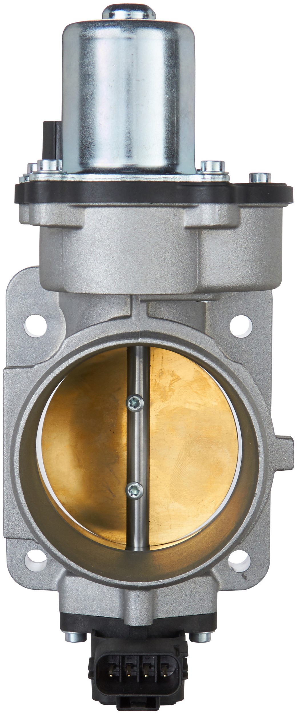 Fuel Injection Throttle Body Assembly