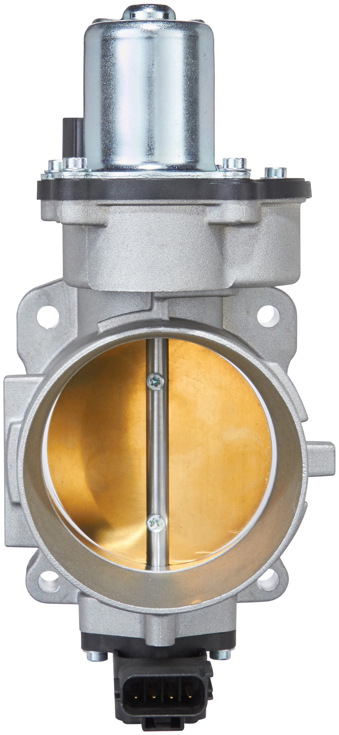 Fuel Injection Throttle Body Assembly