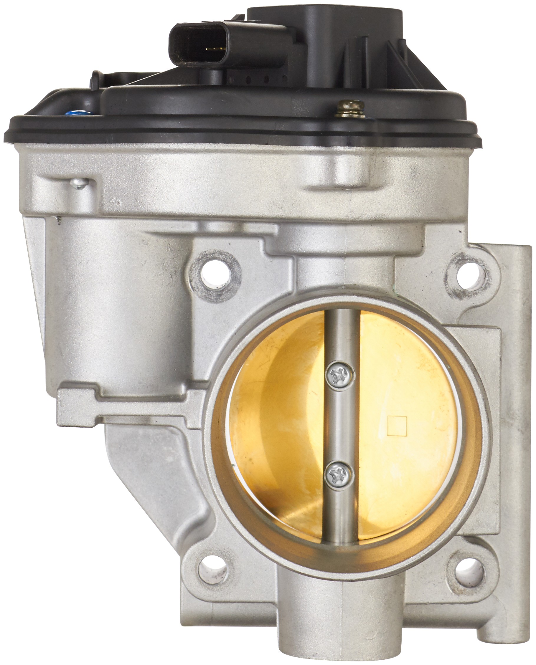 Fuel Injection Throttle Body Assembly