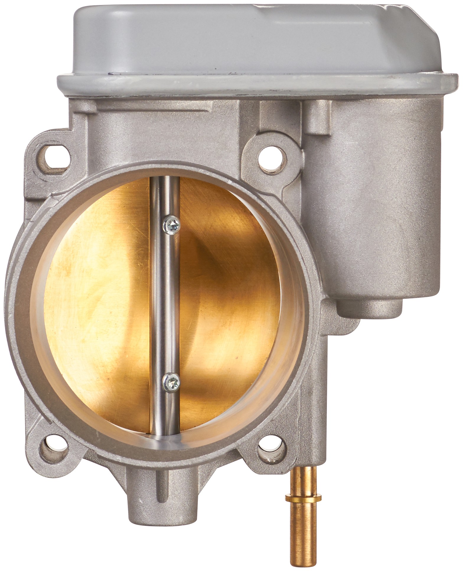 Fuel Injection Throttle Body Assembly