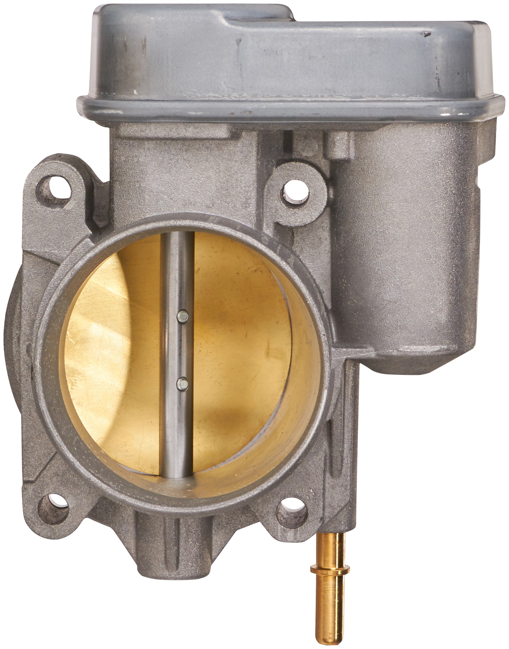 Fuel Injection Throttle Body Assembly