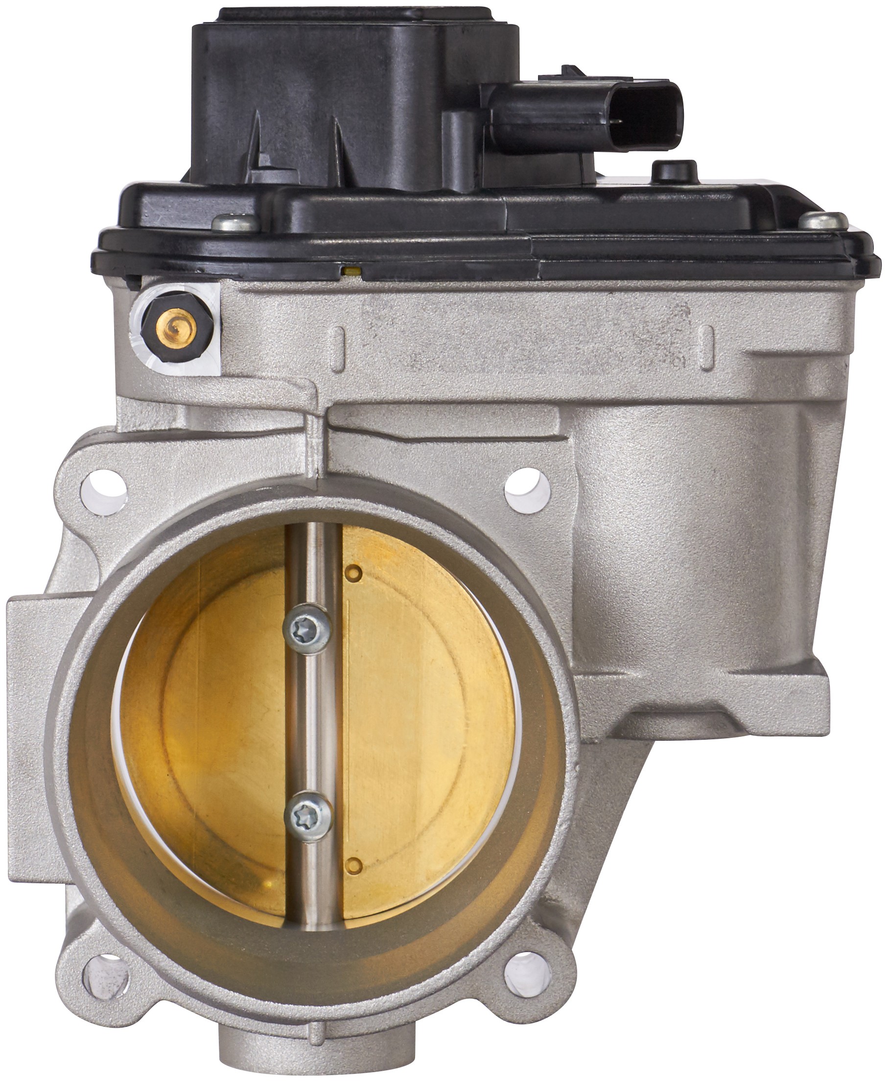 Fuel Injection Throttle Body Assembly