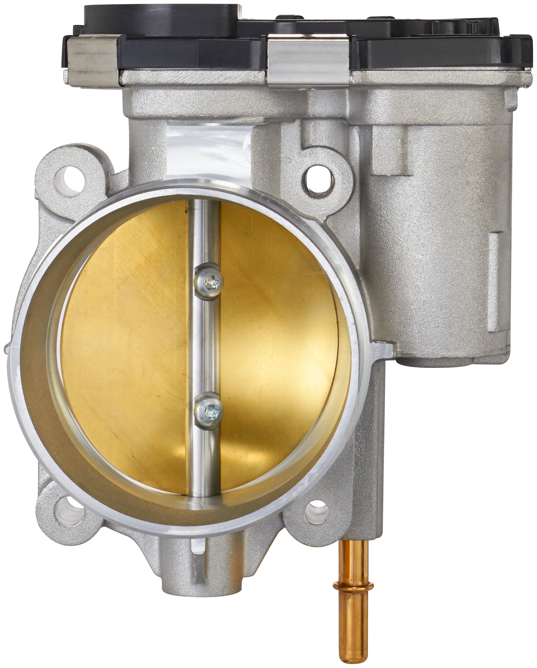 Fuel Injection Throttle Body Assembly