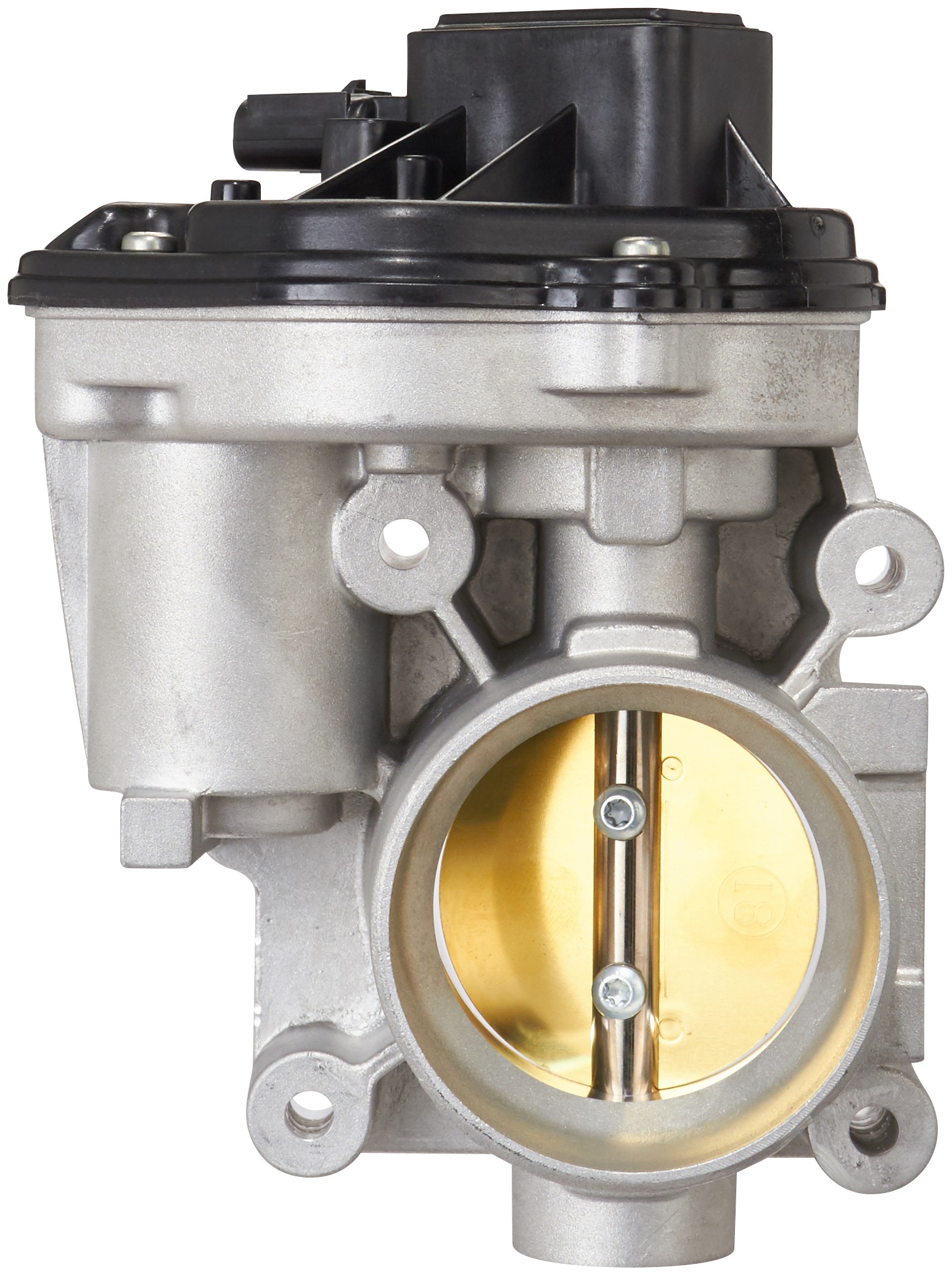 Fuel Injection Throttle Body Assembly