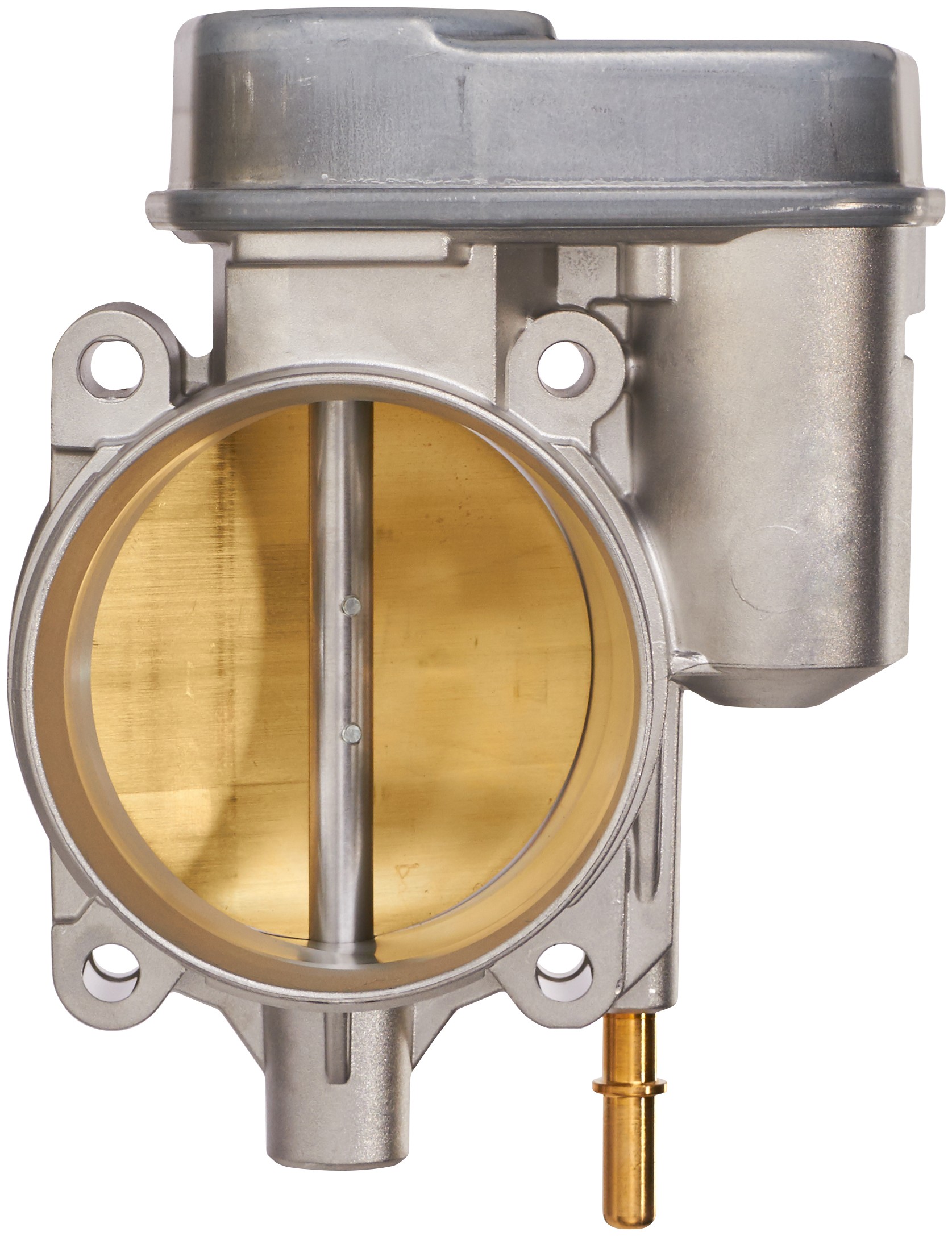 Fuel Injection Throttle Body Assembly