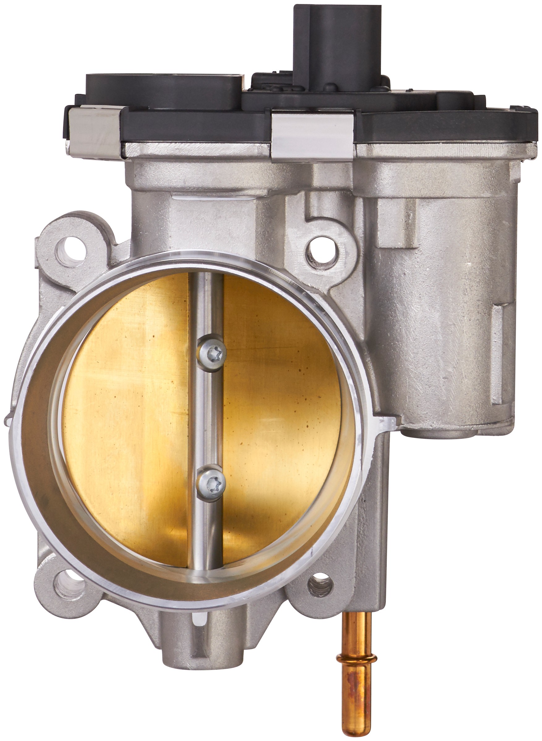 Fuel Injection Throttle Body Assembly