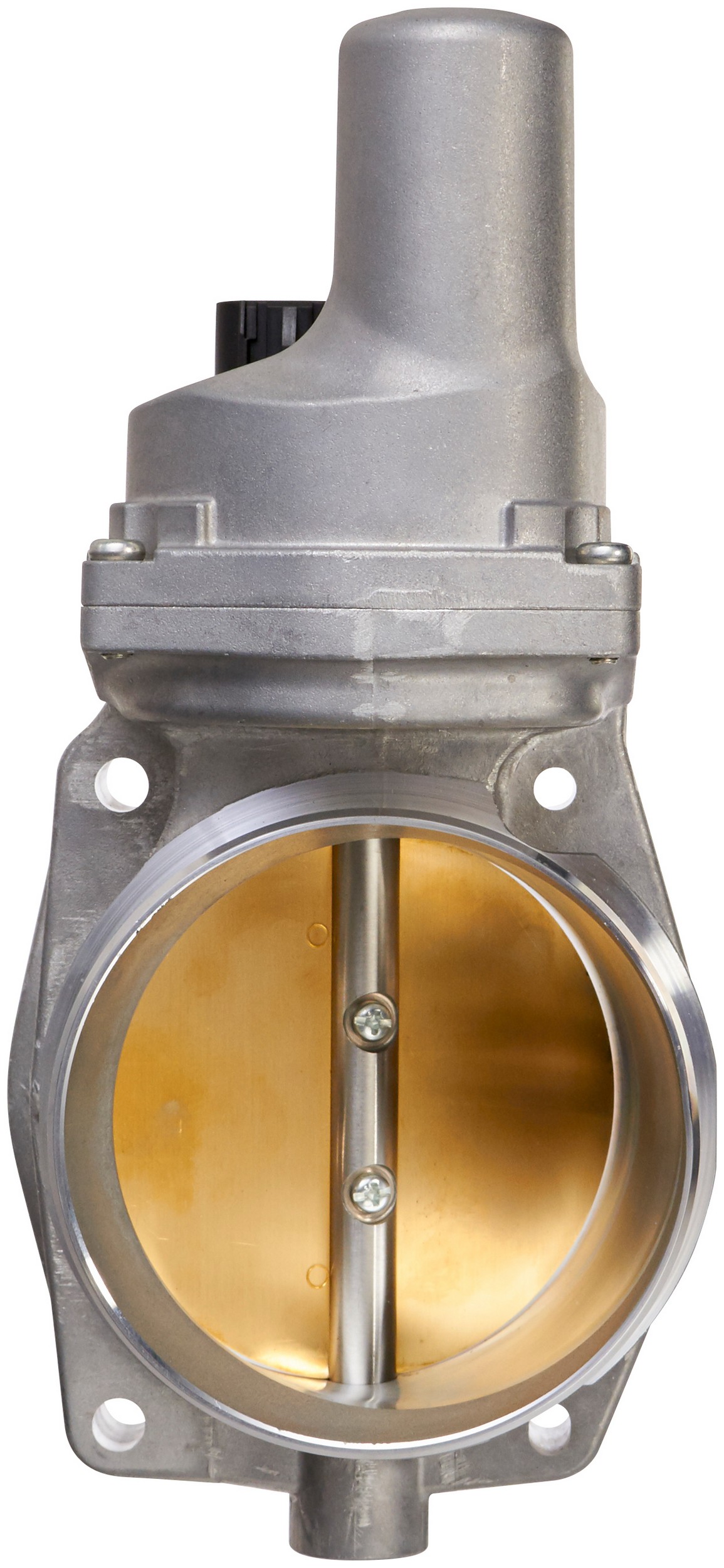 Fuel Injection Throttle Body Assembly