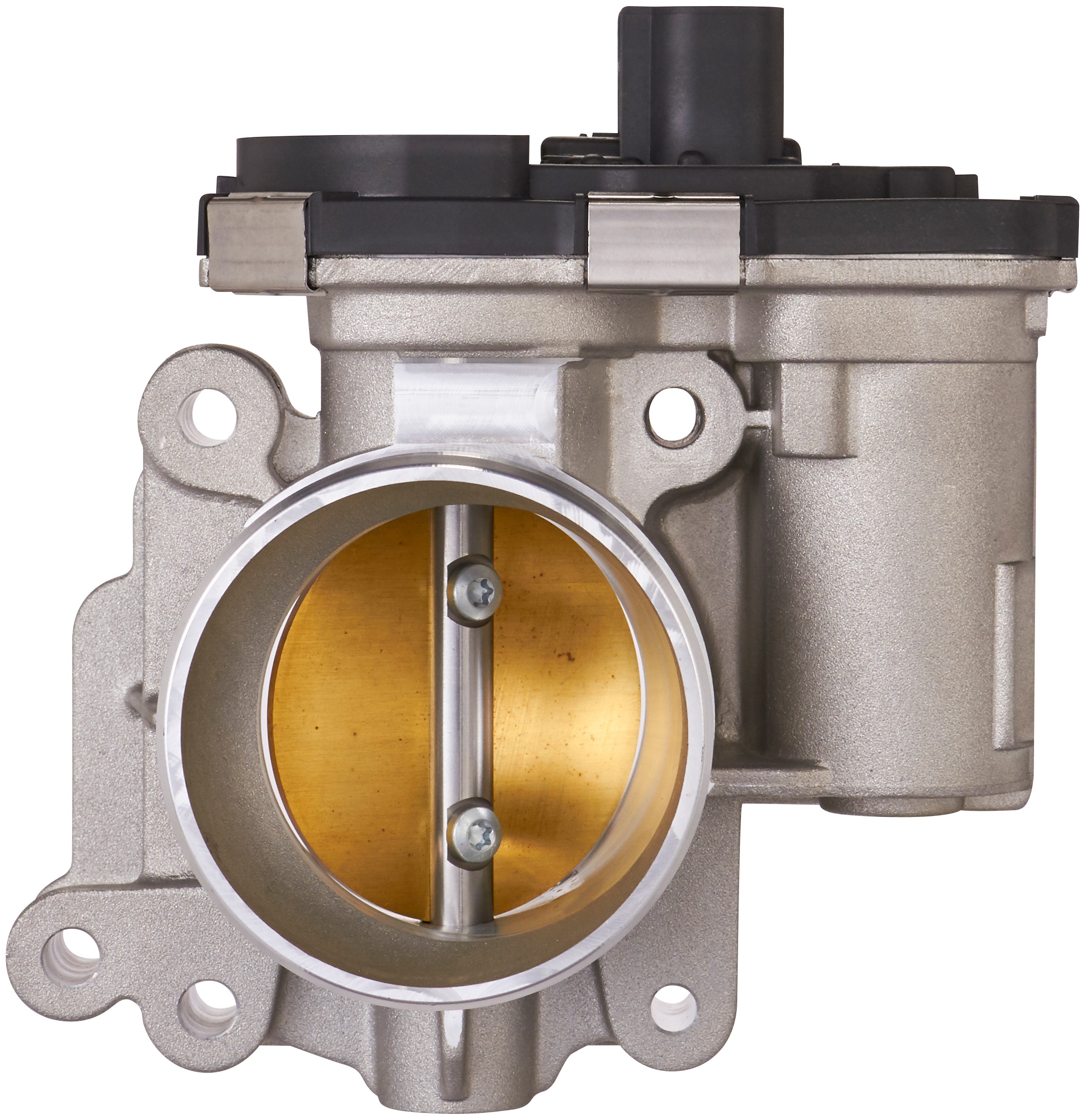 Fuel Injection Throttle Body Assembly