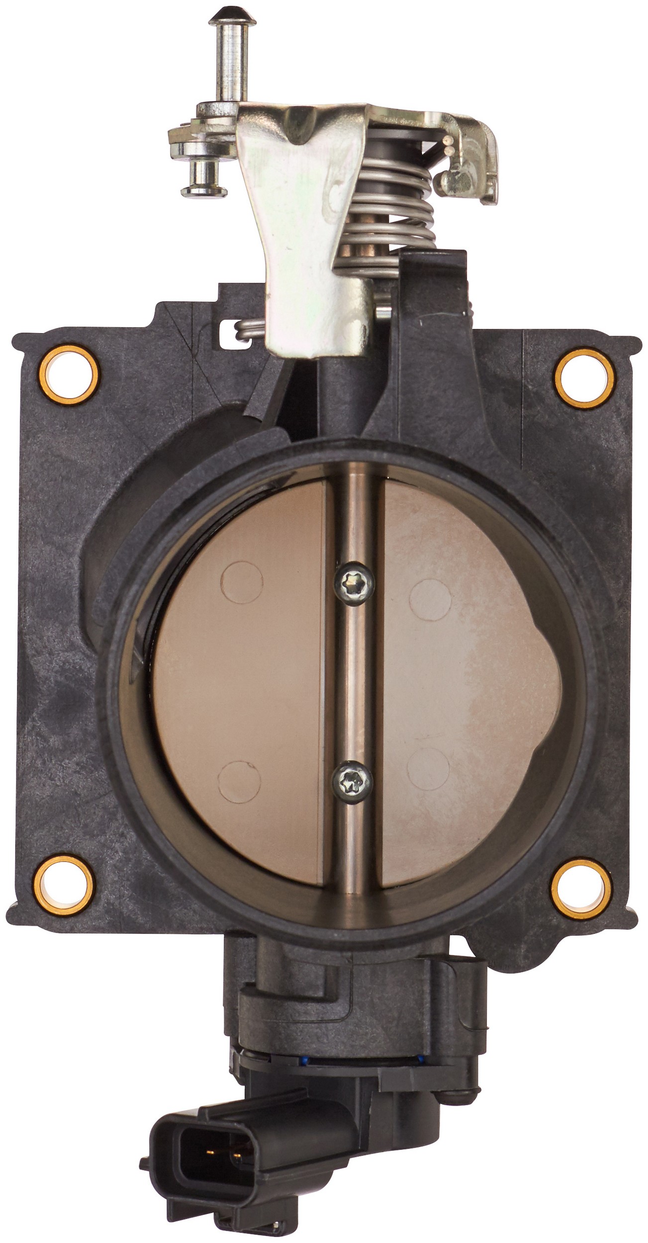 Fuel Injection Throttle Body Assembly