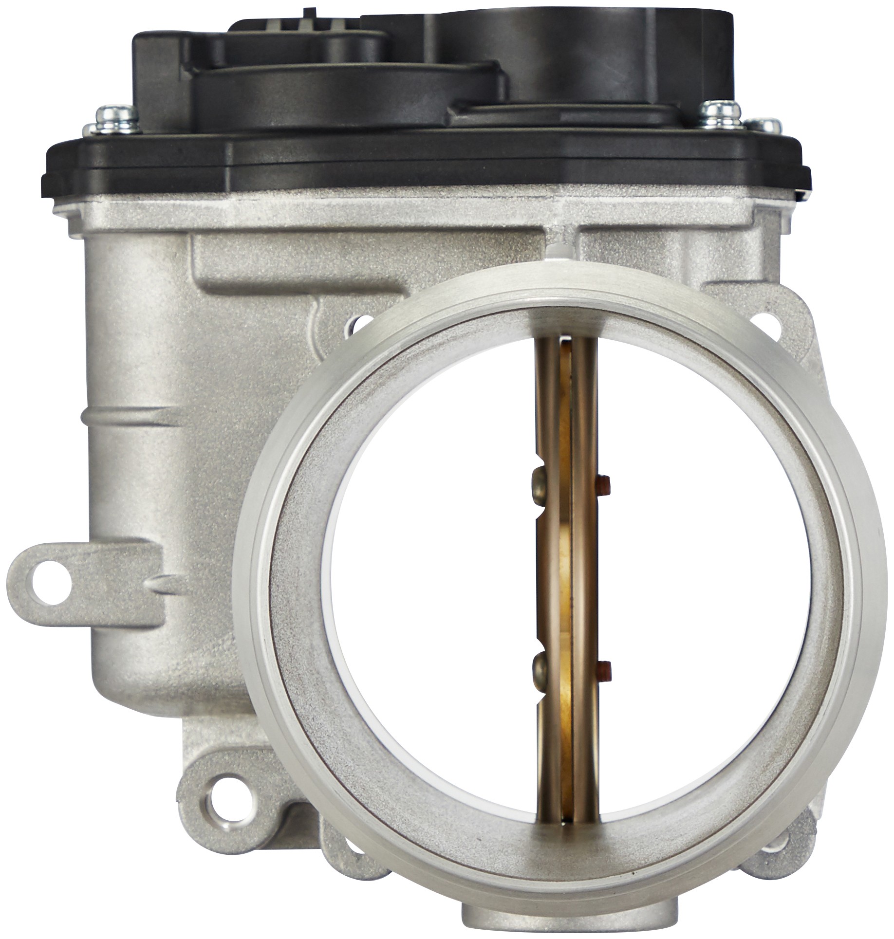 Fuel Injection Throttle Body Assembly