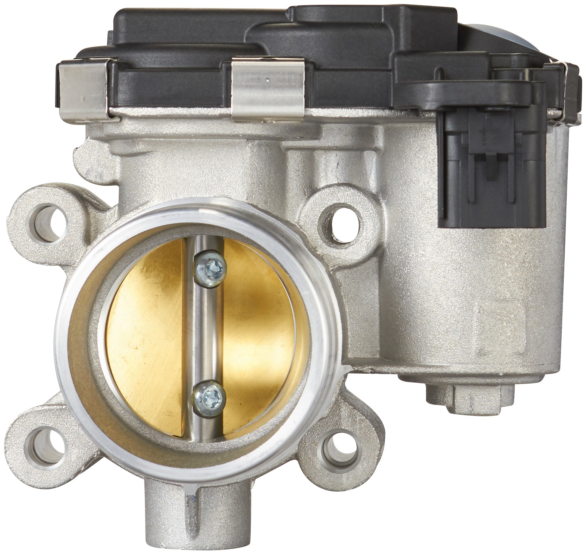 Fuel Injection Throttle Body Assembly