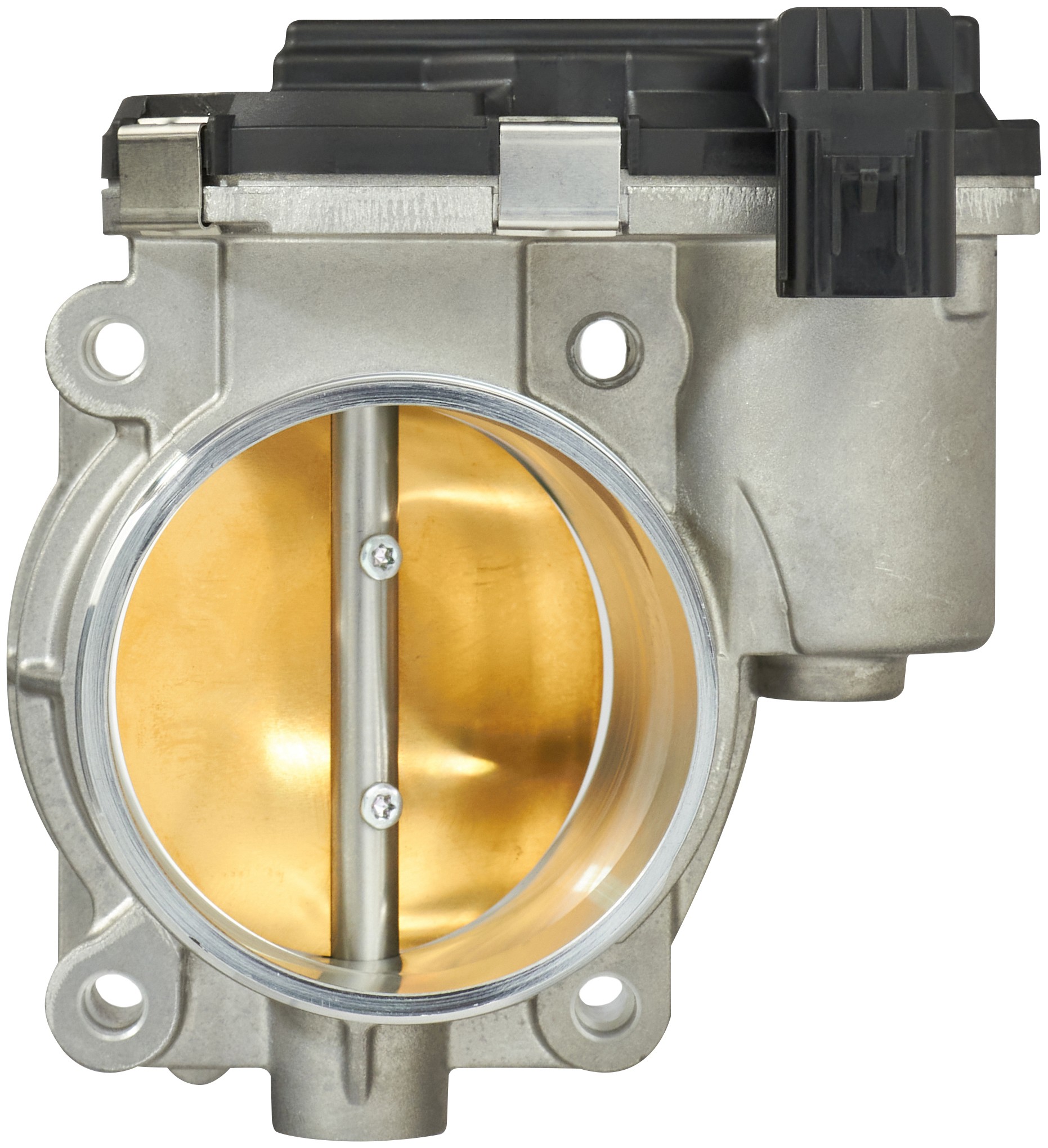 Fuel Injection Throttle Body Assembly