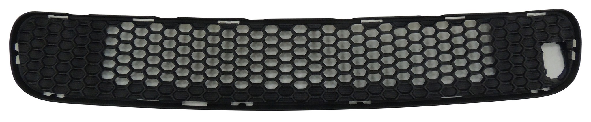 Bumper Cover Grille