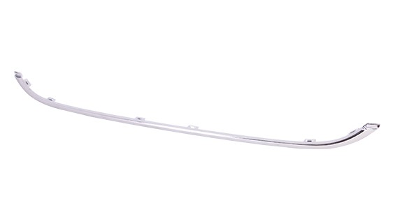 Bumper Cover Molding