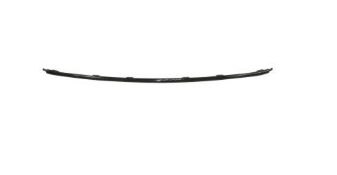 Bumper Cover Molding